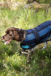 Back on Track Cool On Track manteau pour chien 2.0