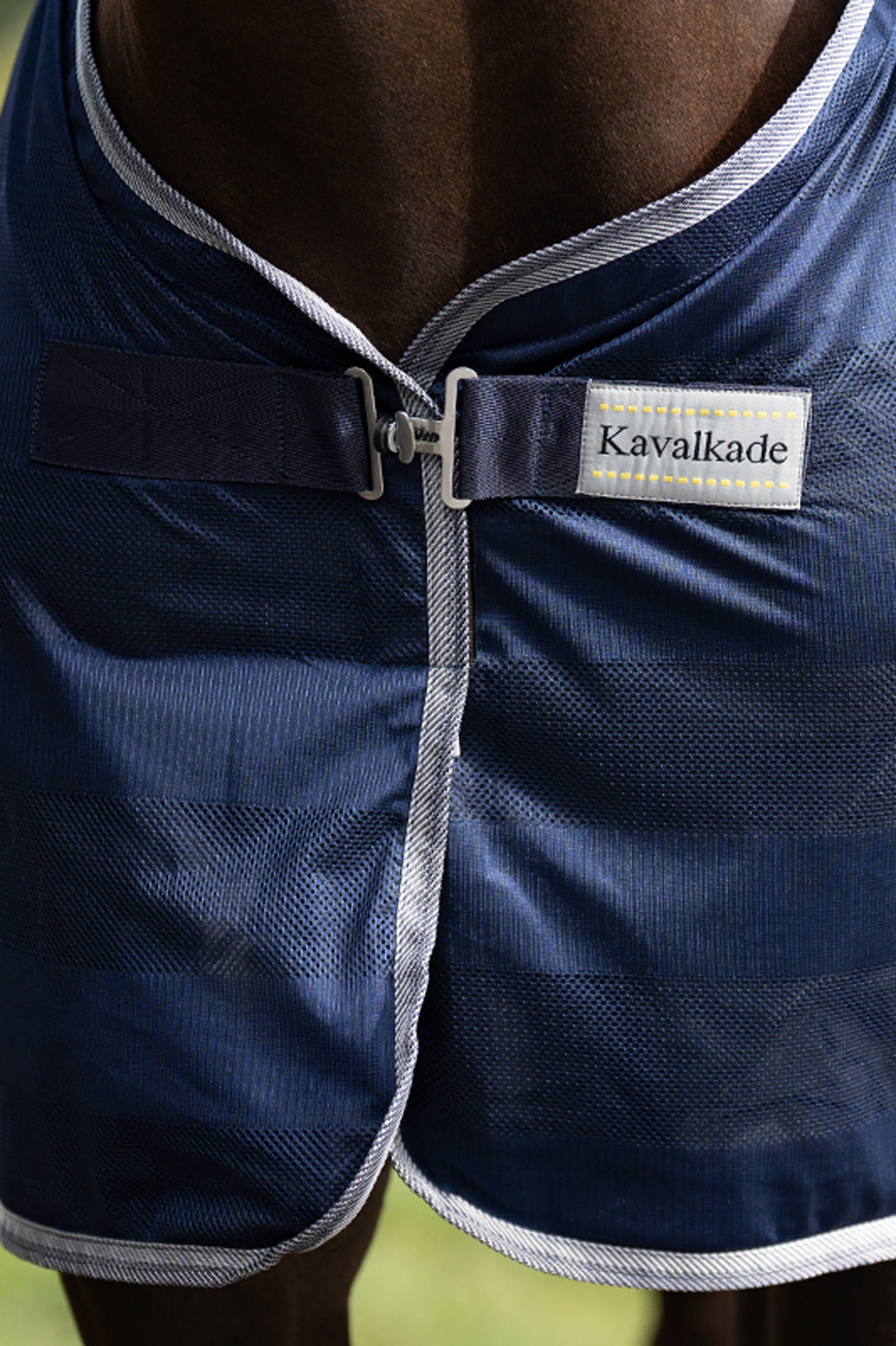 Couverture anti-mouches rayures