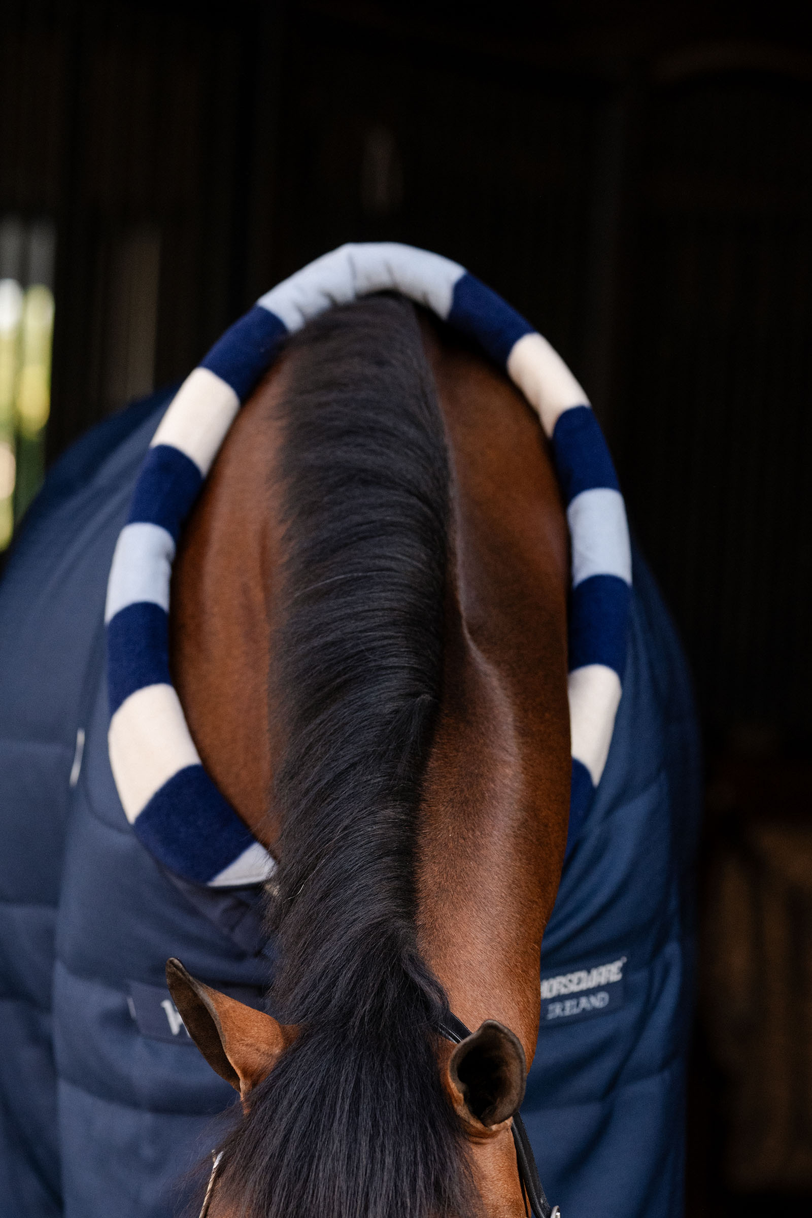 Horseware Newmarket Cosy Couverture &eacute;curie 100g