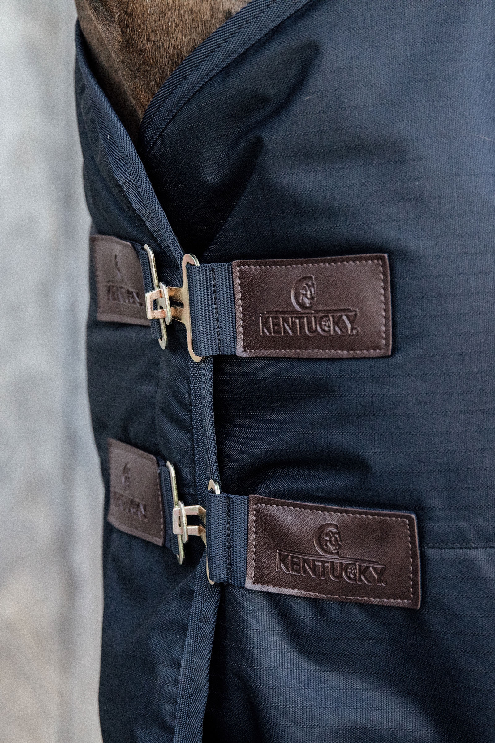 Couverture d'extérieur Tout Temps imperméable Kentucky Horsewear Classic, 150 g