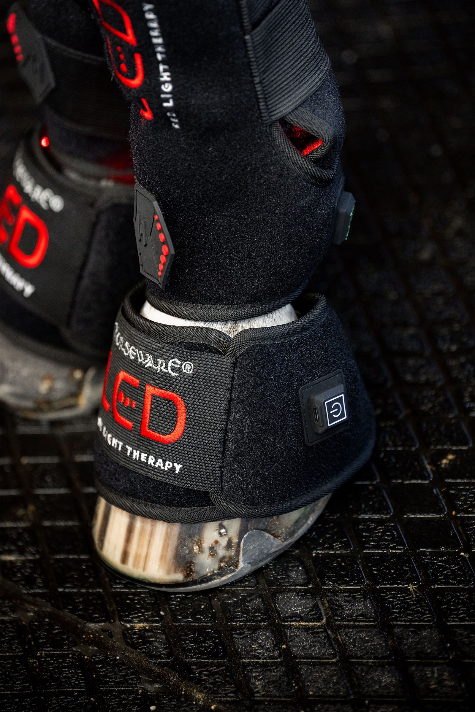 Horseware guêtre thérapeutique LED à lumière rouge mini (1 pce)