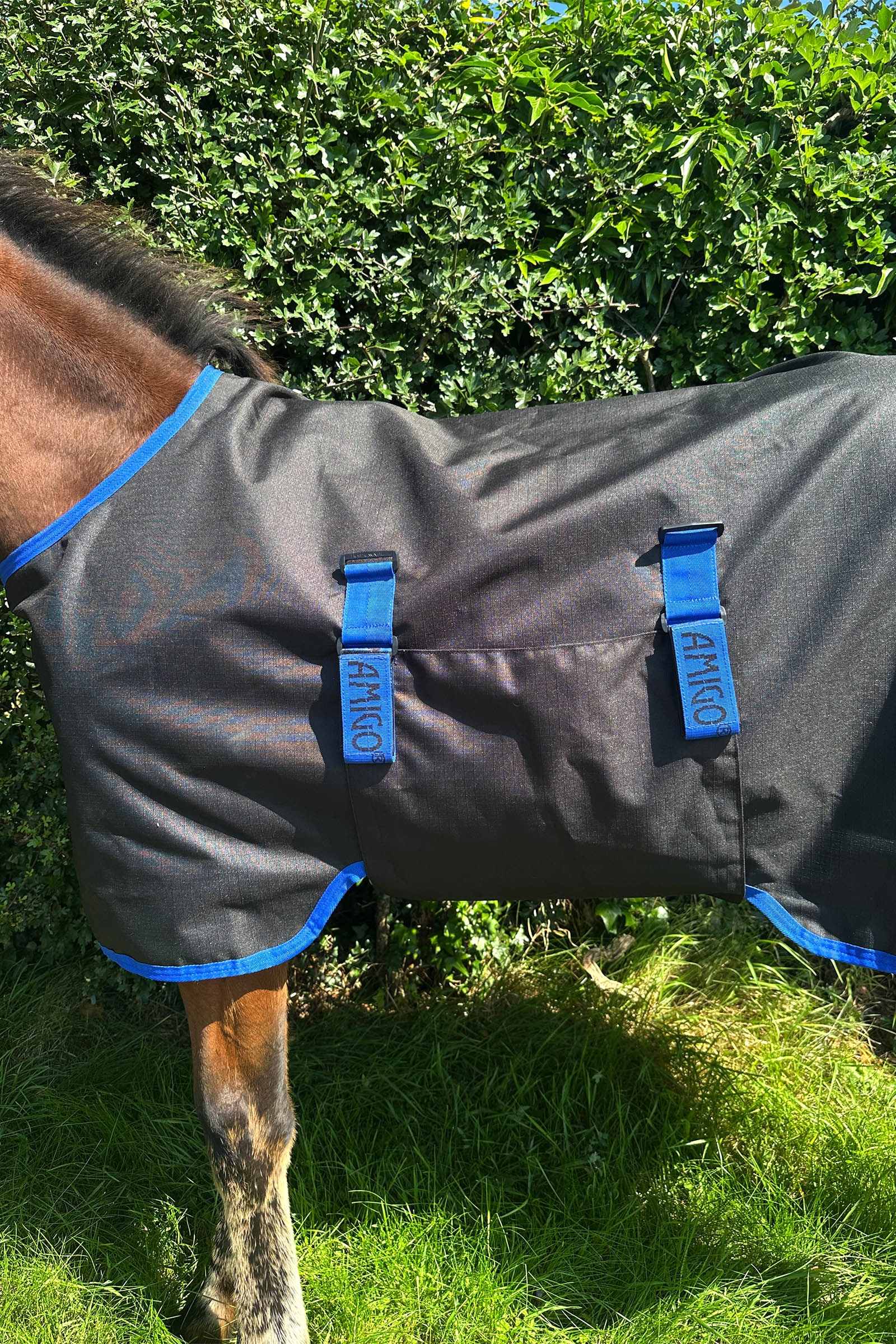 Horseware Amigo Ripstop 900D couverture d'ext&eacute;rieur pour poulain 50g