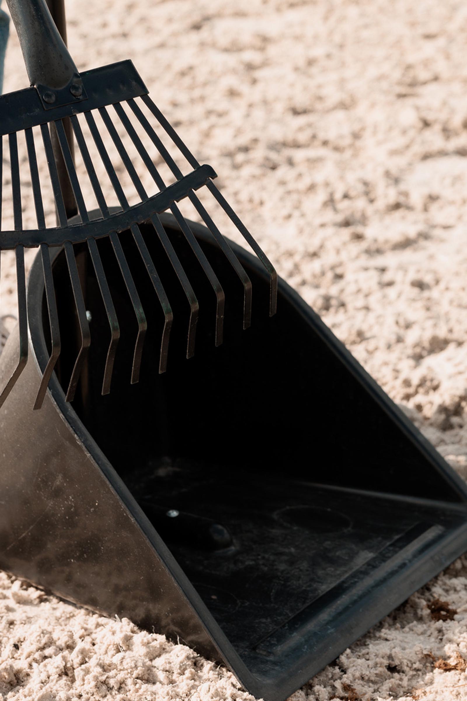 Grooming Deluxe pelle &agrave; crottin et r&acirc;teau  