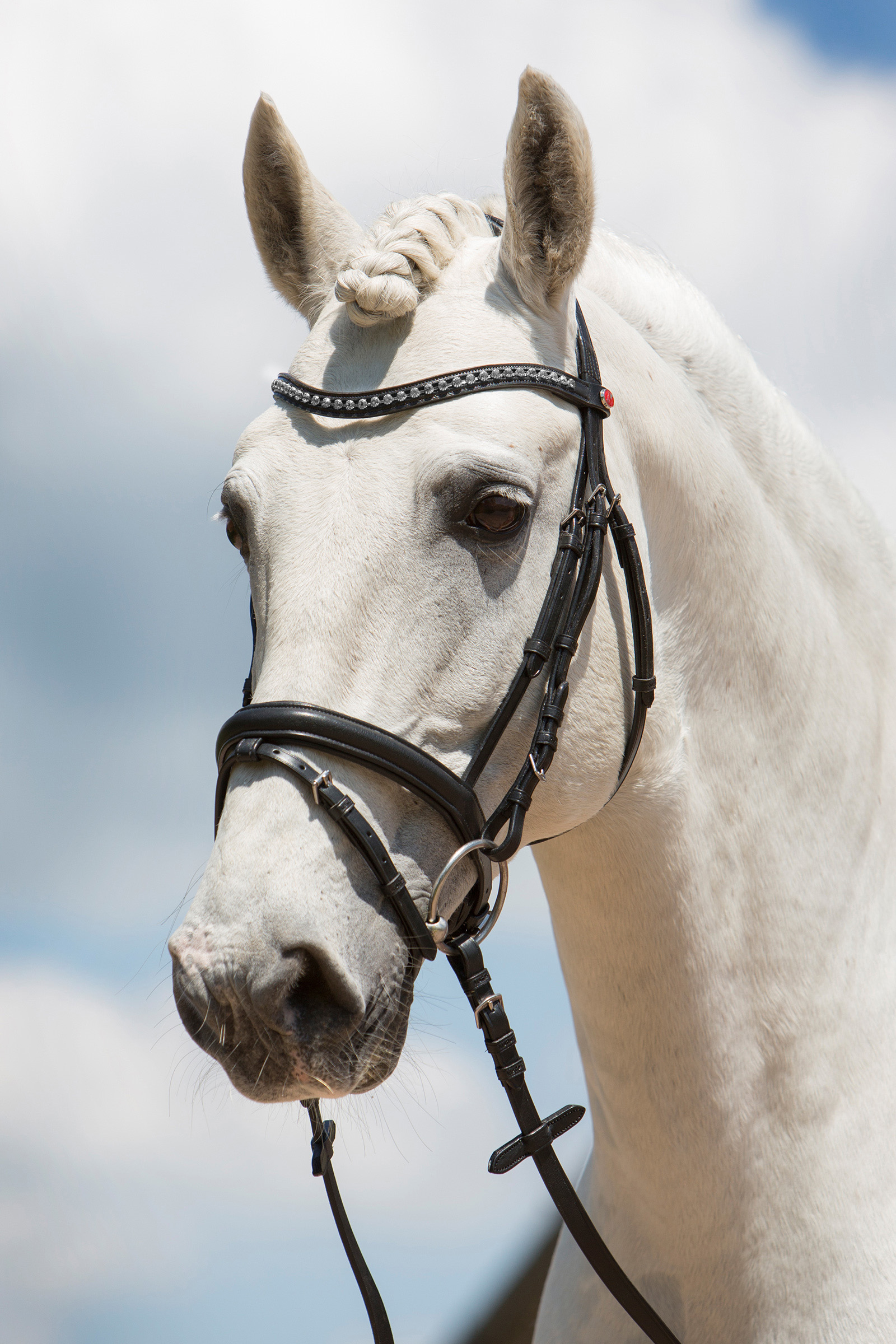 Kieffer Ultrasoft® Fashion Bridle