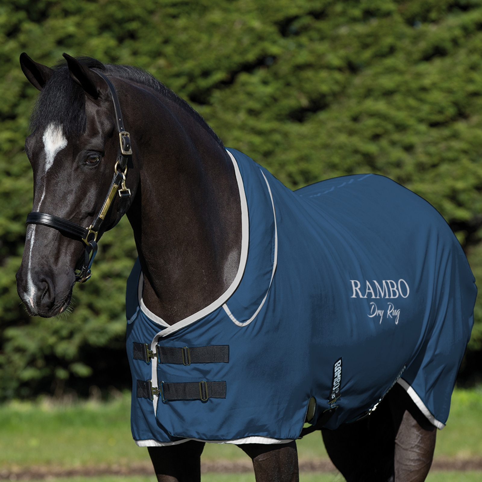 Chemise s&eacute;chante Horseware Rambo