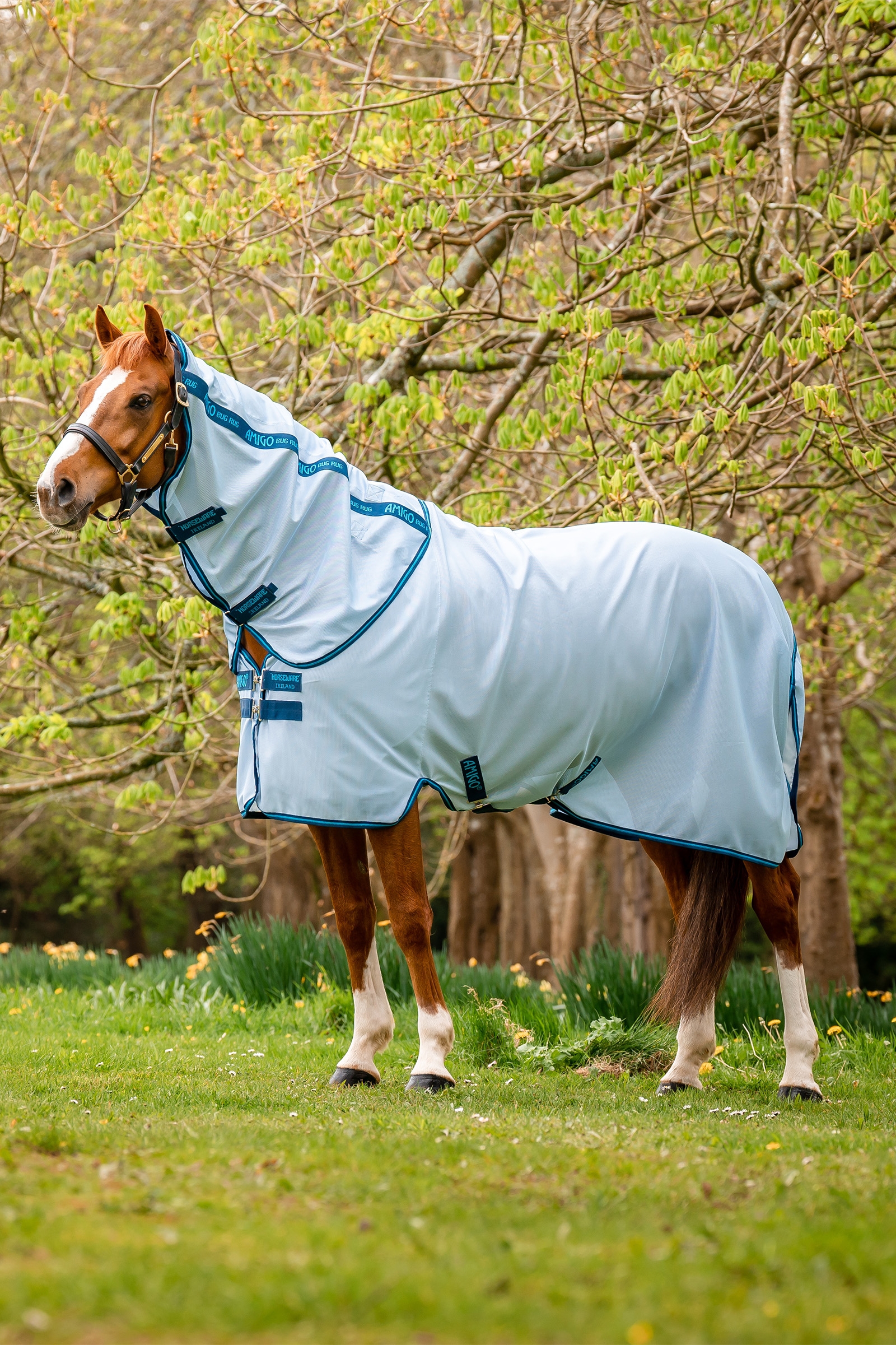 Horseware Amigo Couverture anti-mouches