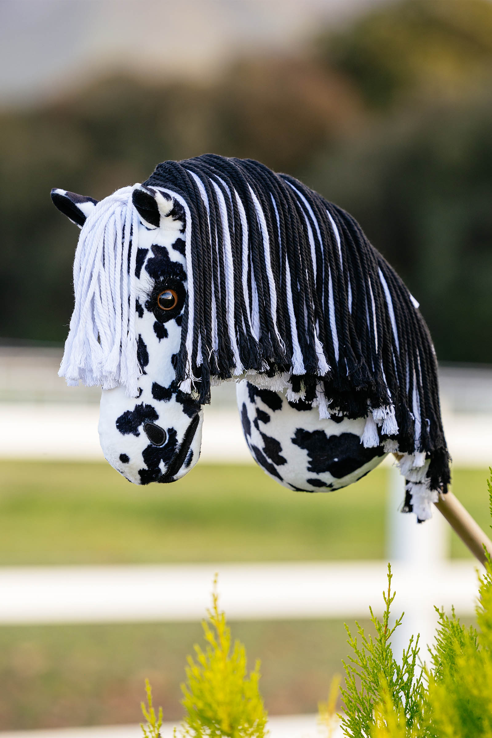 LeMieux Dakota cheval b&acirc;ton