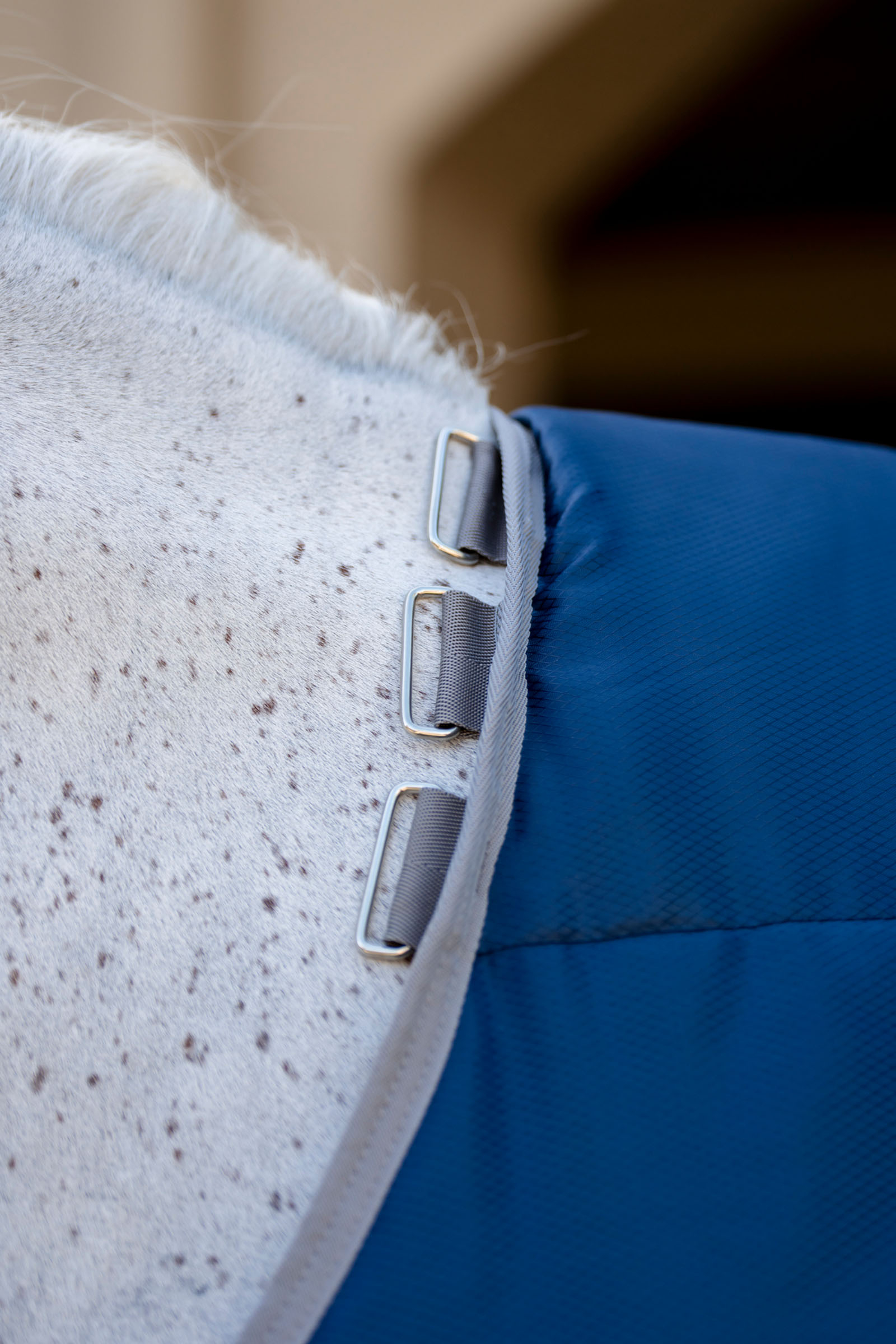 Horseware Amigo Ripstop Insulator Couverture &eacute;curie, 50g