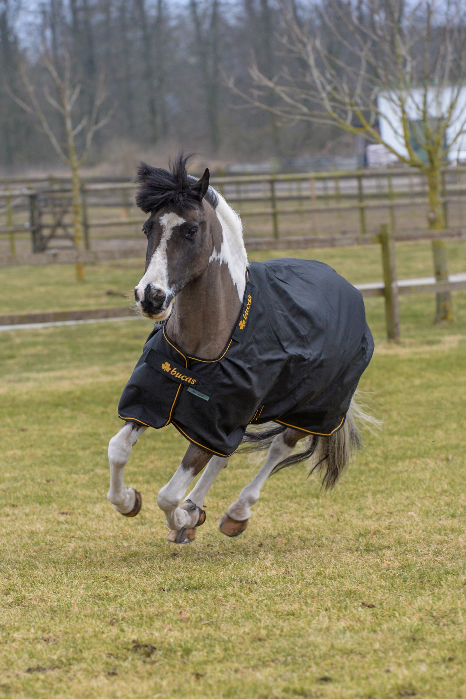 Bucas Irish couverture d'extérieur, 150g