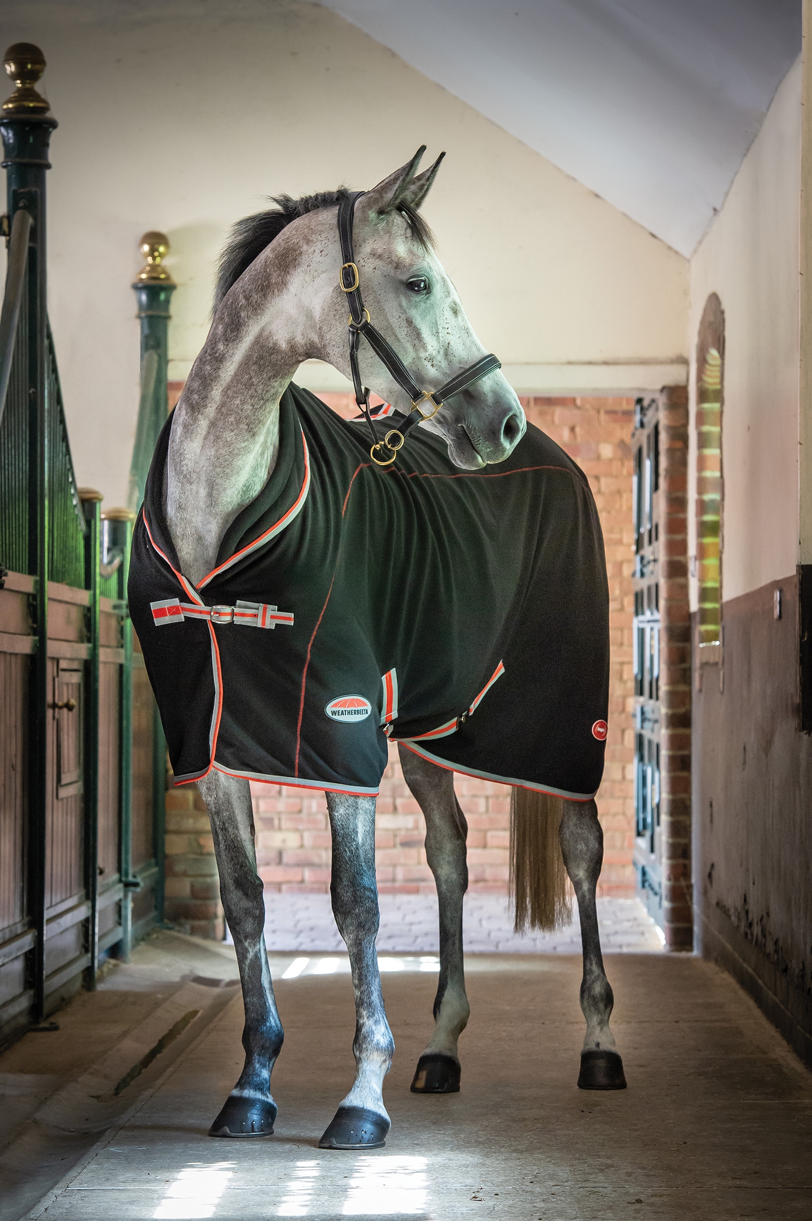 Couverture technique thérapeutique Weatherbeeta Therapy-Tec