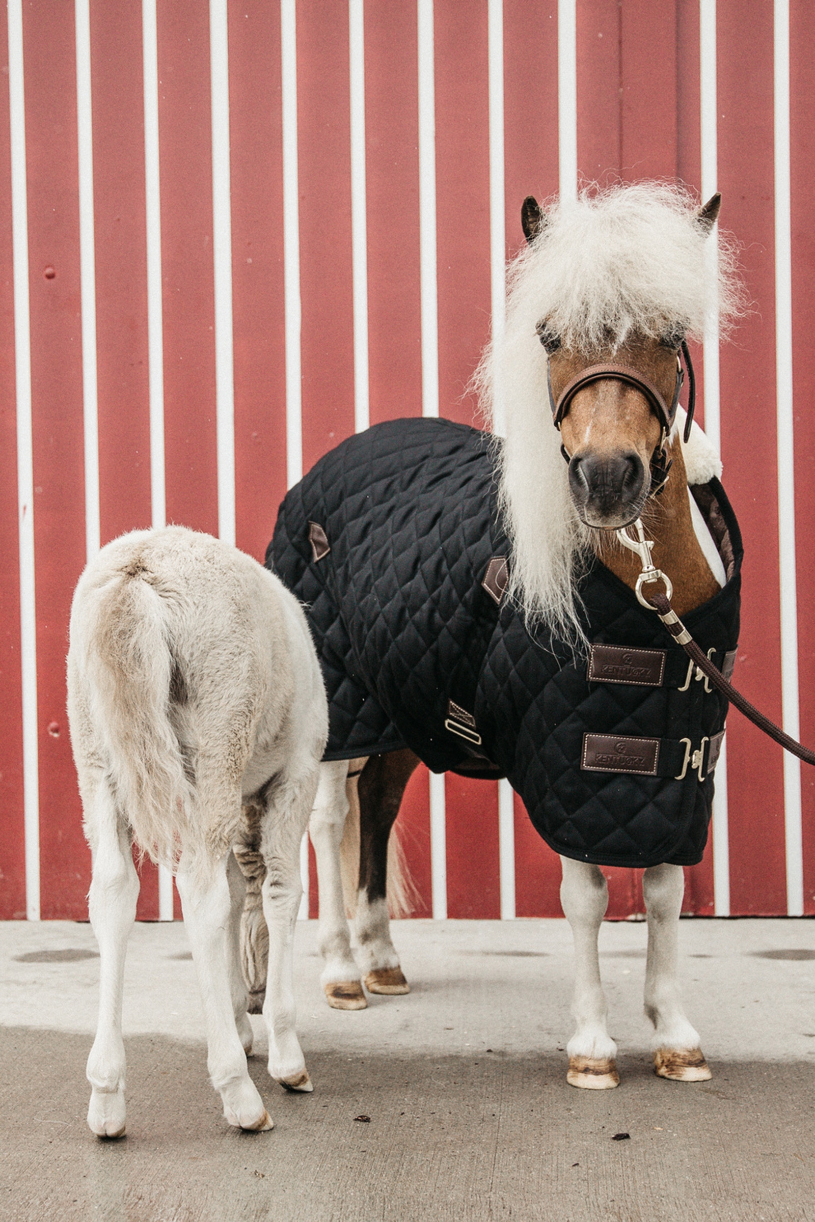 Couverture d'Ecurie Kentucky Horsewear 400g