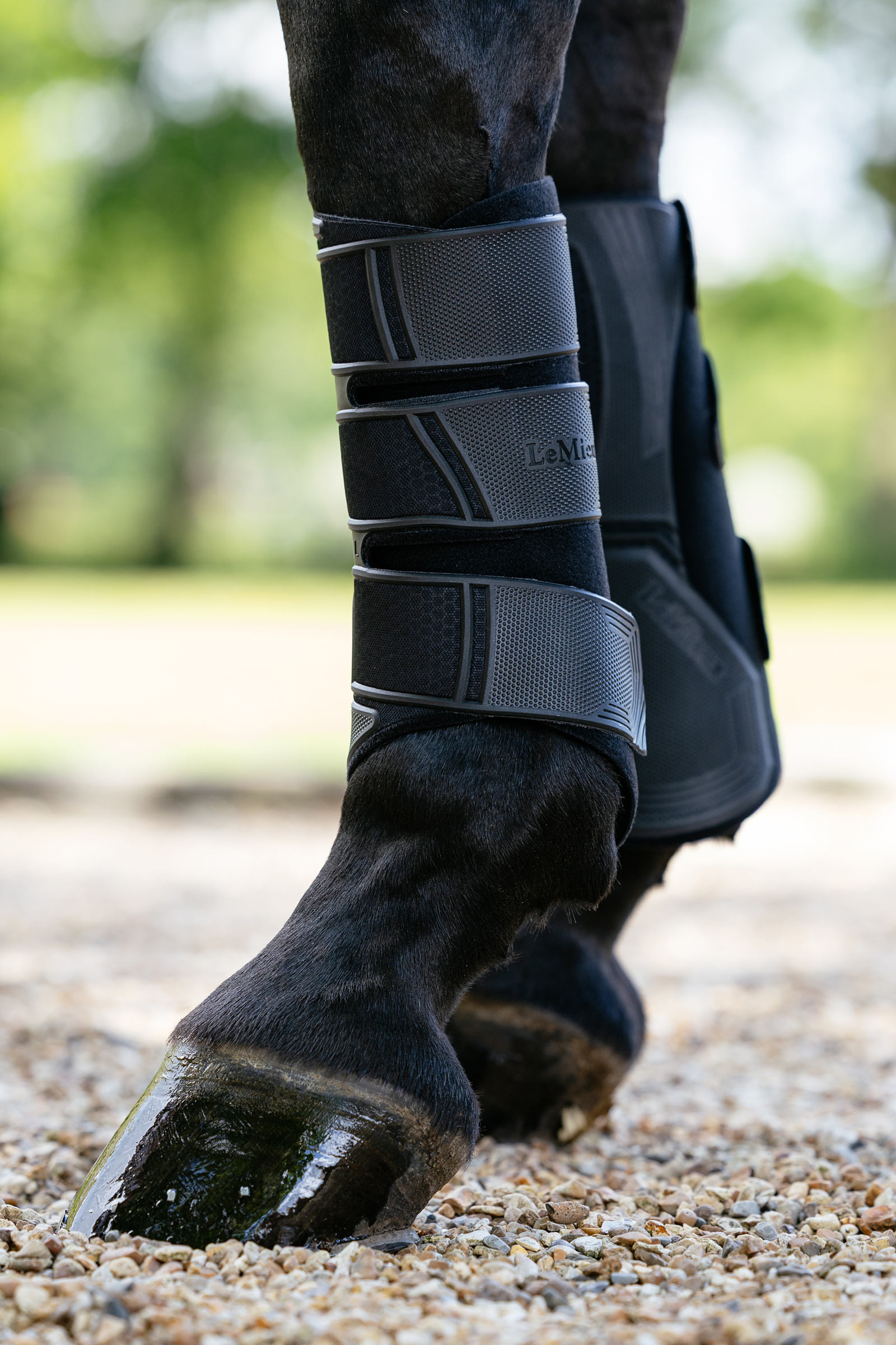 Black LeMieux Technical gu&ecirc;tres de dressage