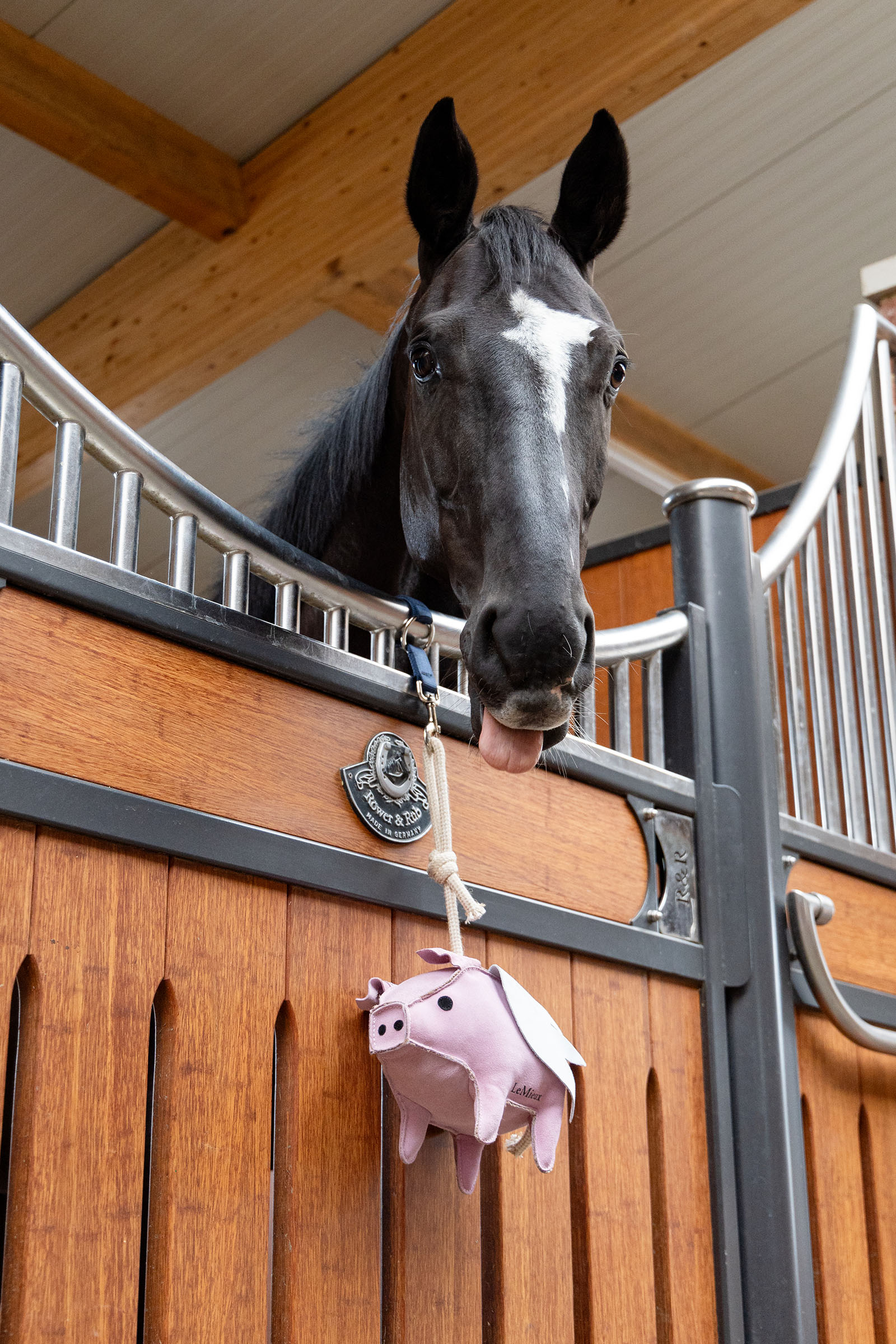 LeMieux jouet pour cheval cochon volant