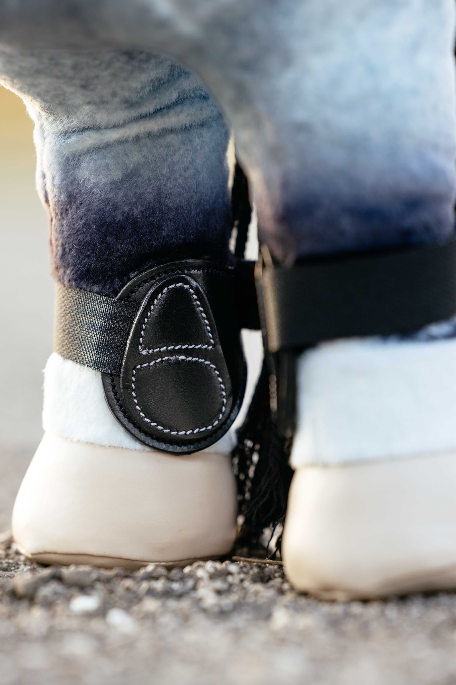 LeMieux Capella guêtres pour poney jouet