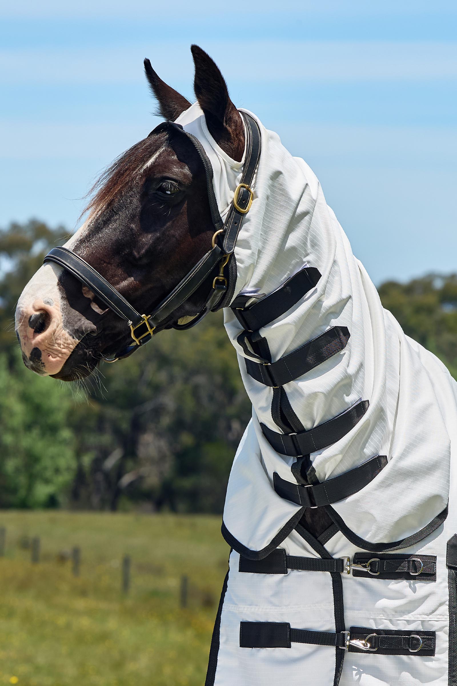 Weatherbeeta ComFiTec Sweet Itch Shield Couverture anti-mouches combo avec encolure fixe, 0 g  