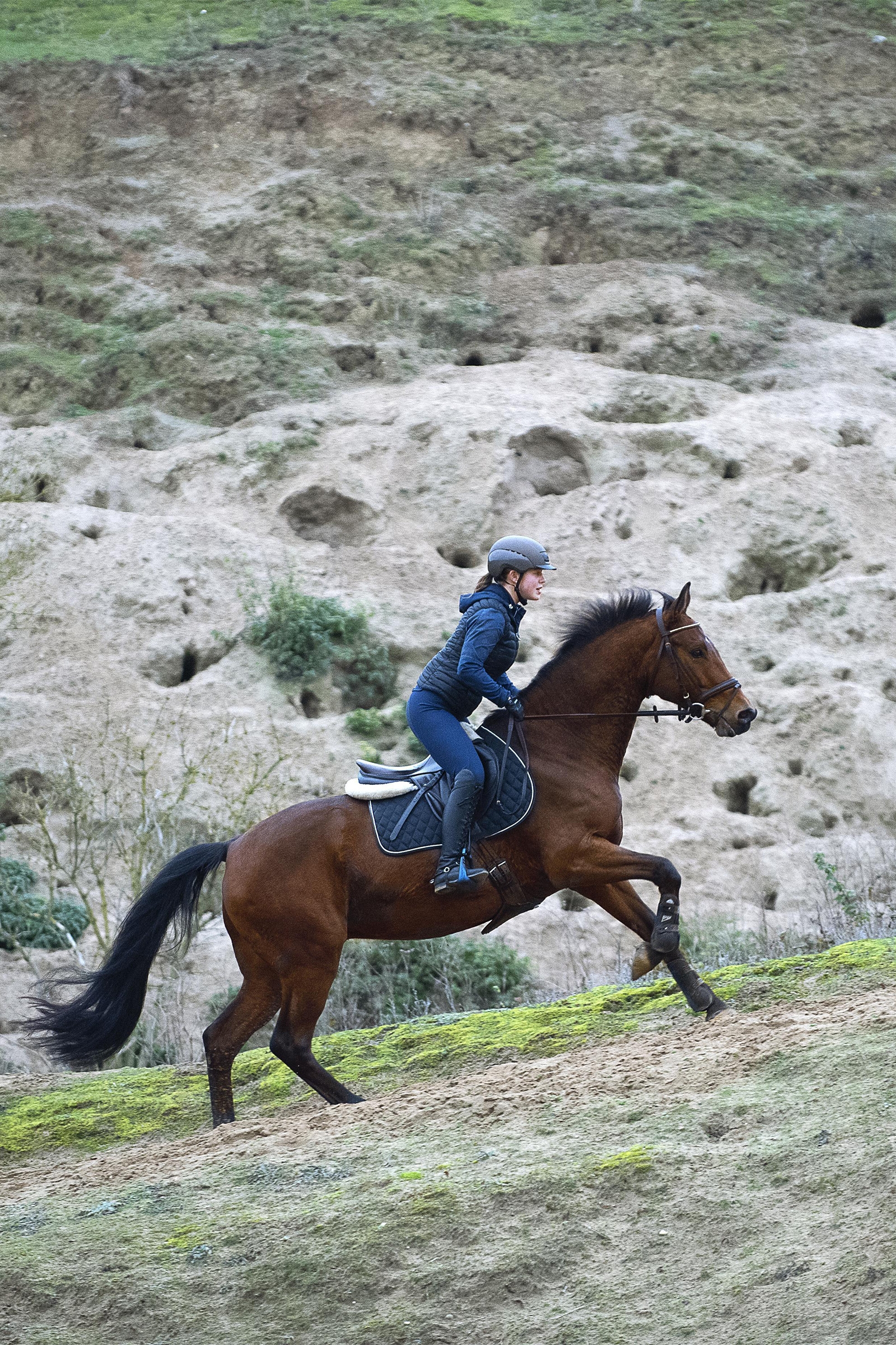 Casque d'&eacute;quitation Uvex elexxion tocsen