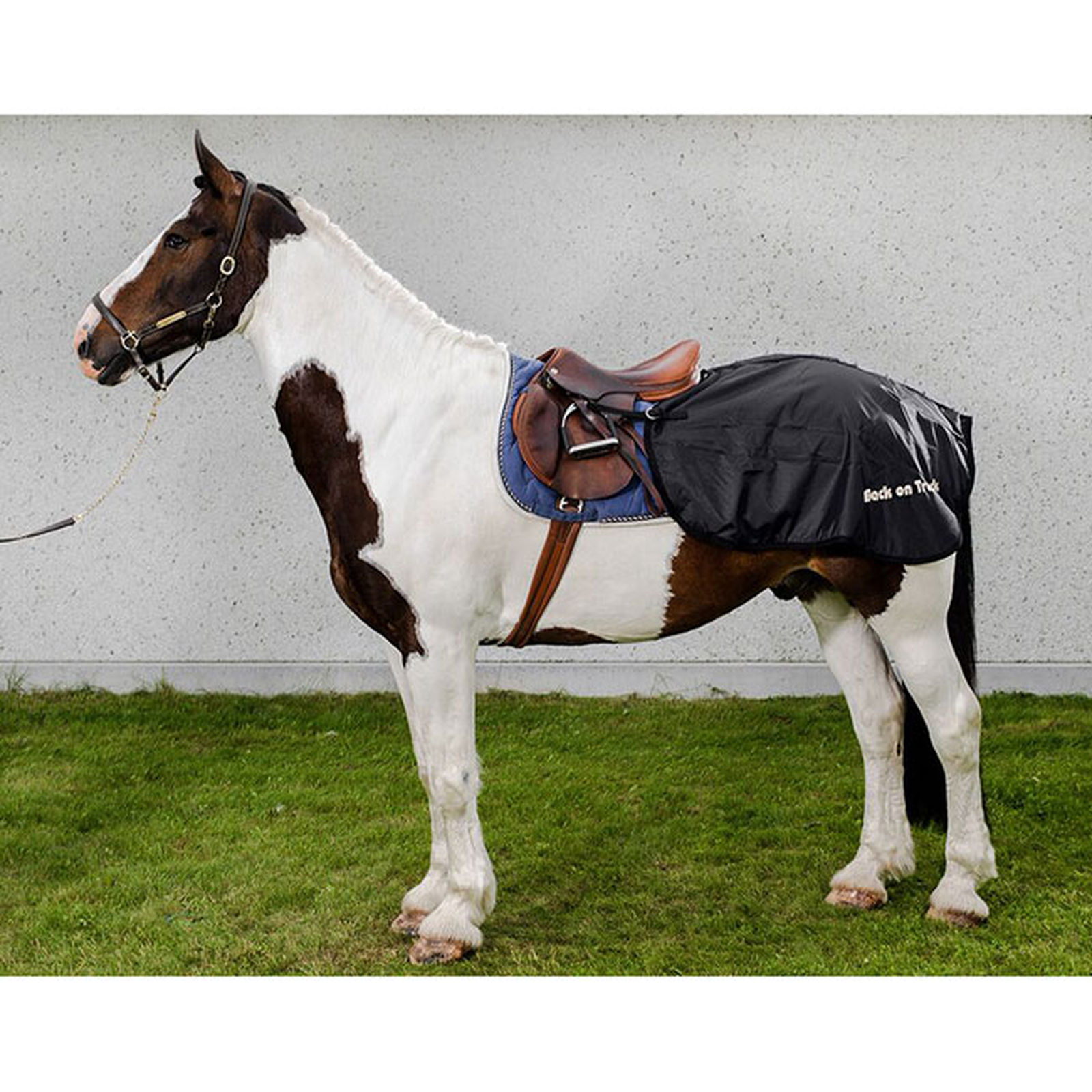 Couvre-reins Back On Track