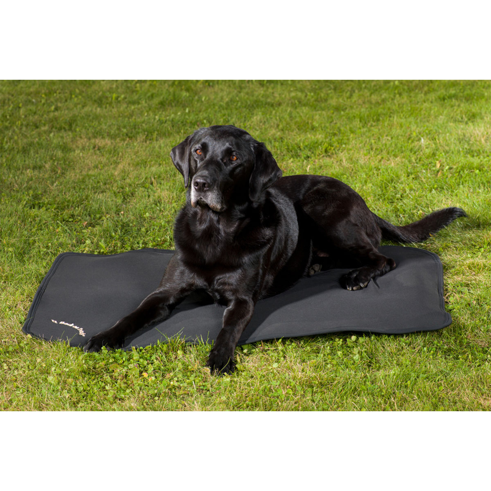Tapis pour chiens Back on Track Cage, 100x68