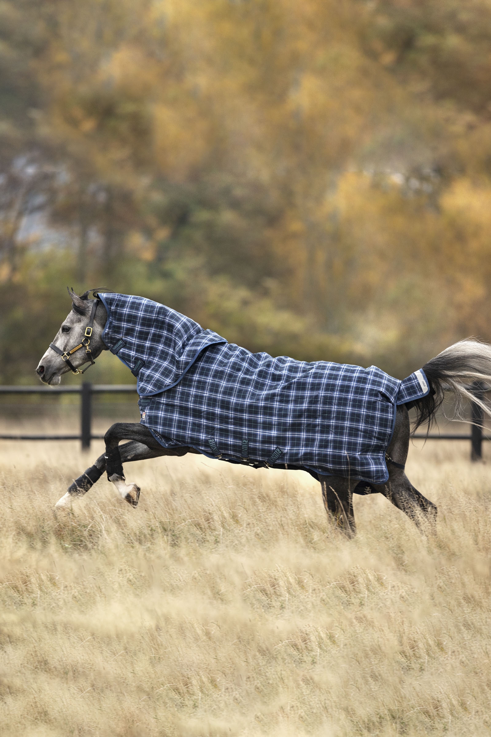 Horseware Rhino Plus Vari-Layer couverture imperm&eacute;able avec encolure amovible, 250 g