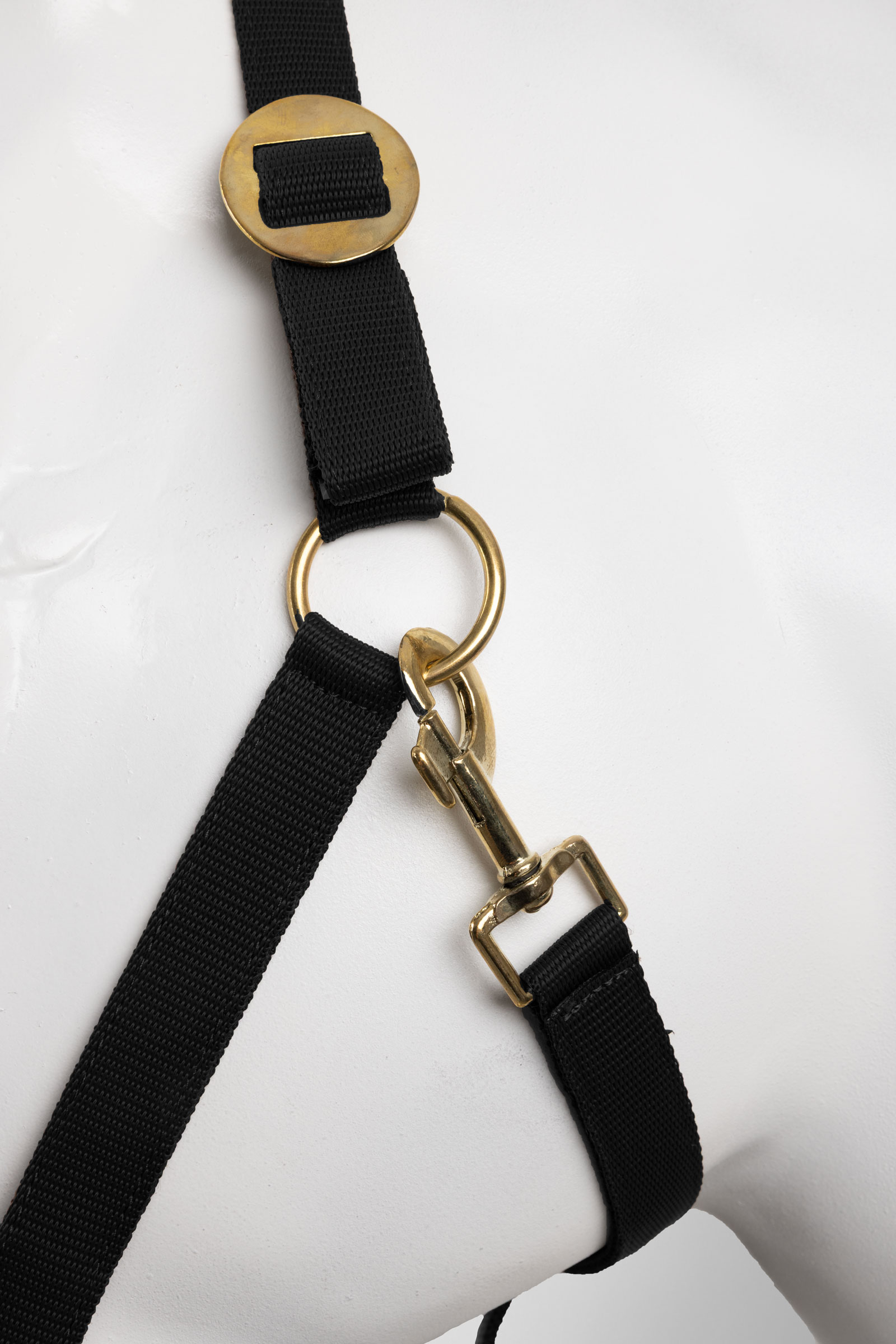 Horze licol et longe ensemble (3 pcs)