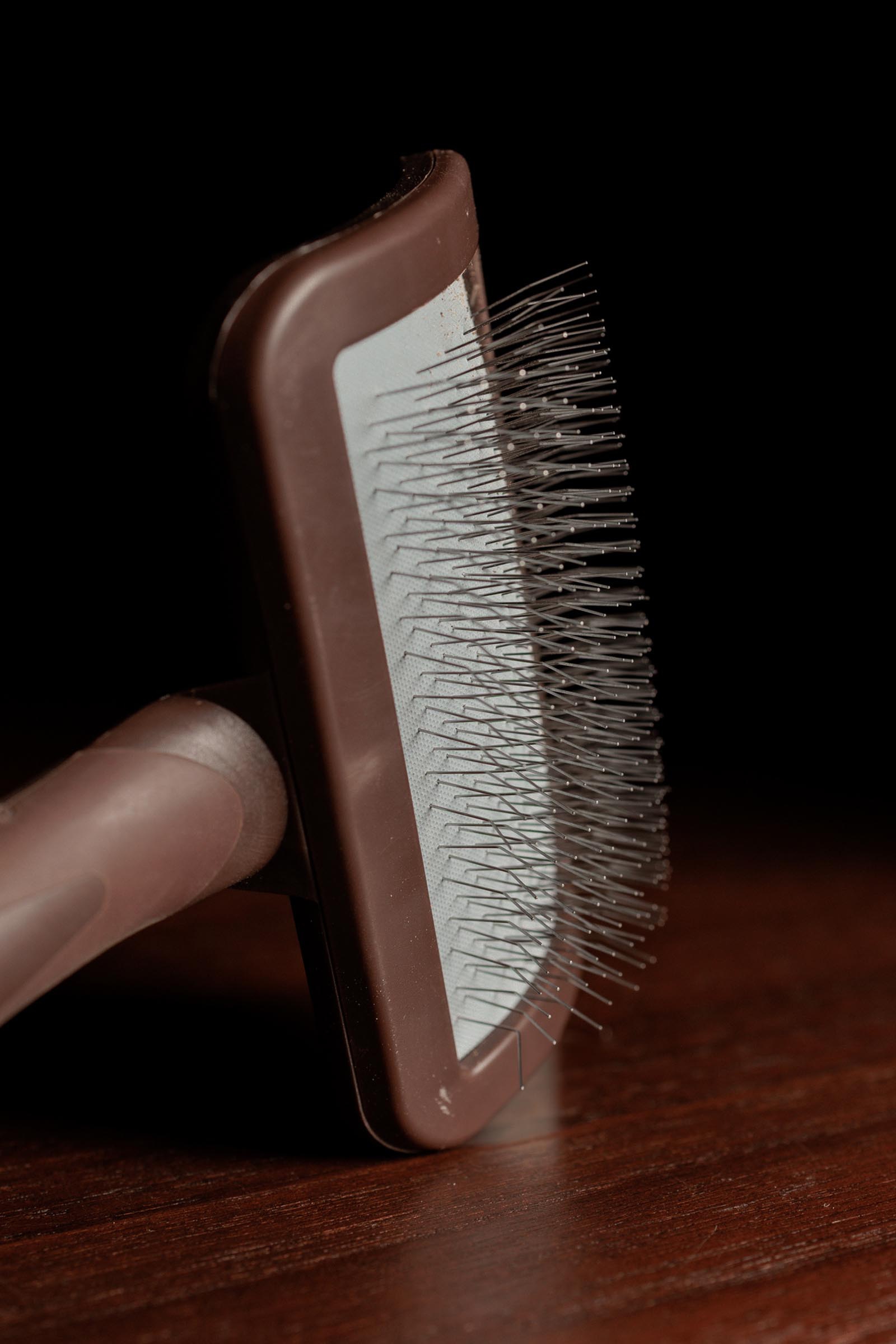 Grooming Deluxe brosse de nettoyage pour fermetures auto-agrippantes  
