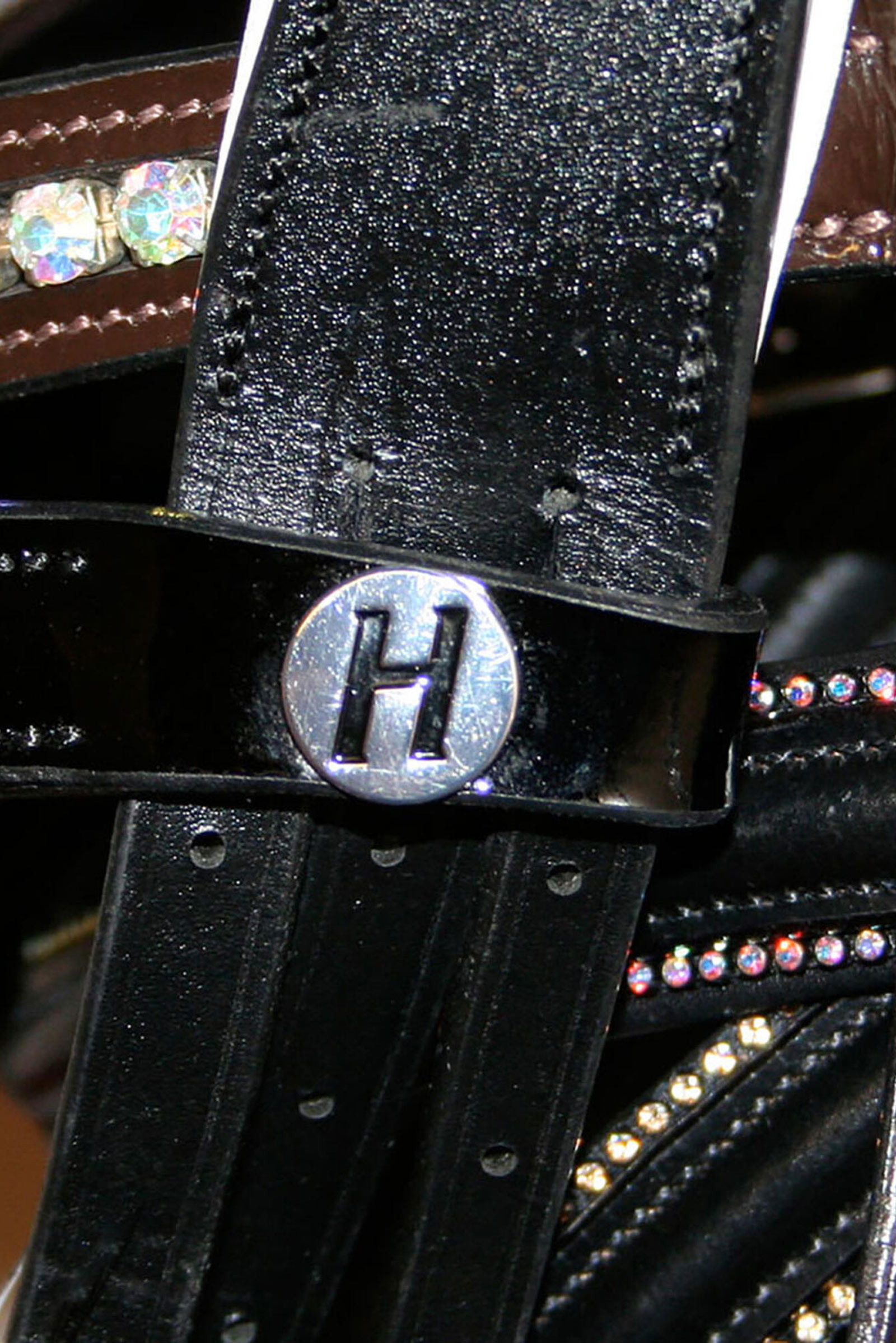 Harry's Horse Bridle Chique