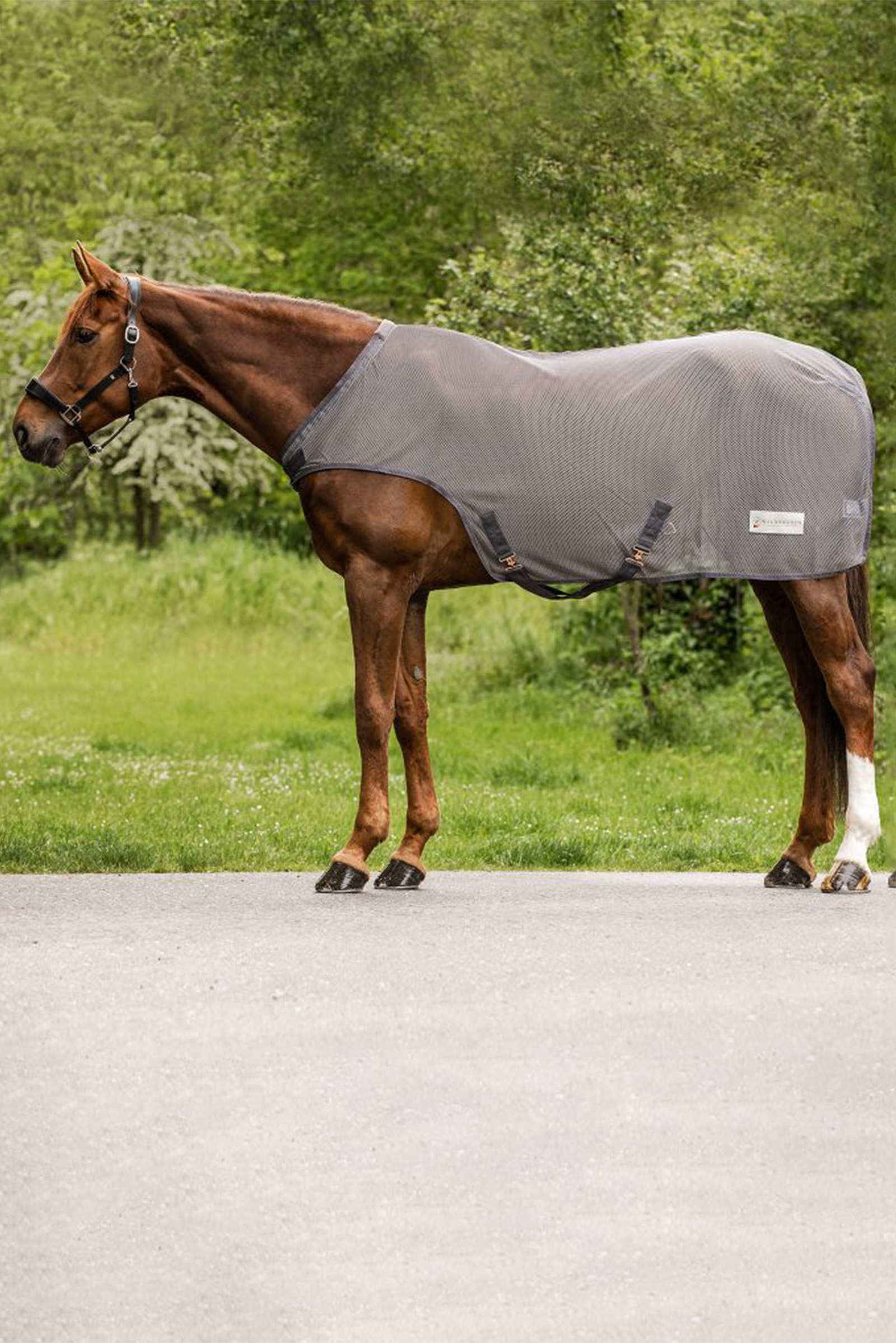 grey Couverture pour machine de marche pour chevaux volants COMFORT de Waldhausen