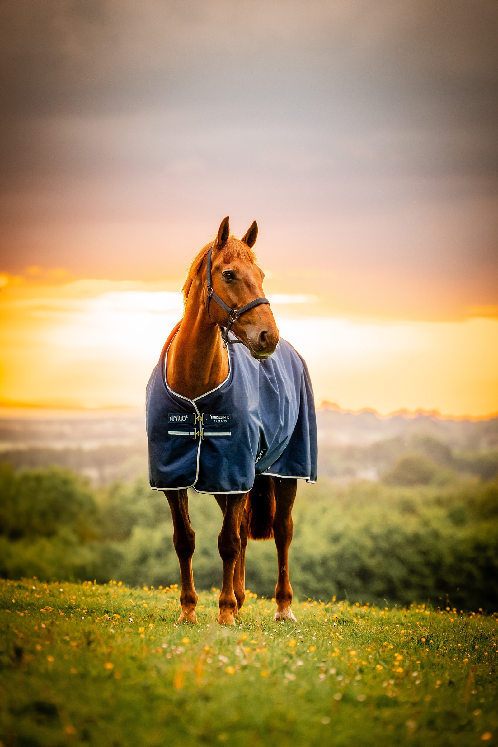 Horseware Amigo Ripstop 900D couverture d&rsquo;ext&eacute;rieur doubl&eacute;e polaire, 50 g