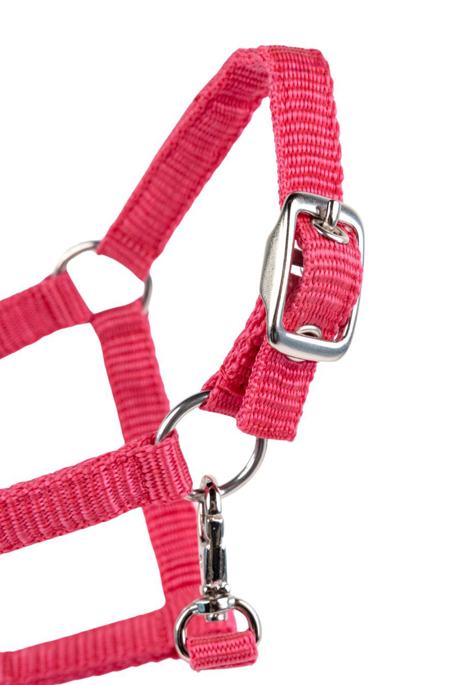 My Hobby Horse licol en nylon