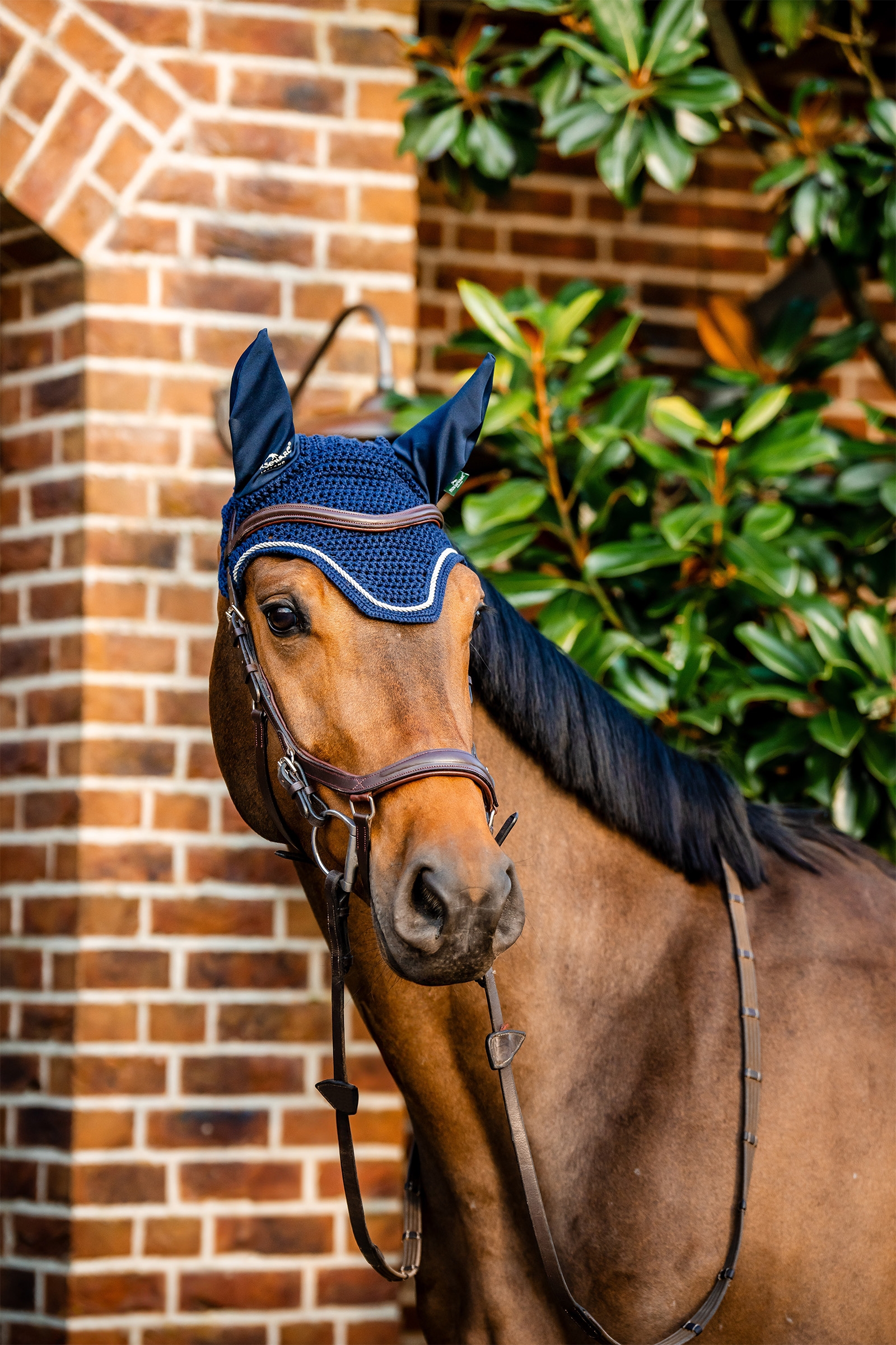 Bonnet anti-mouches Horseware Signature