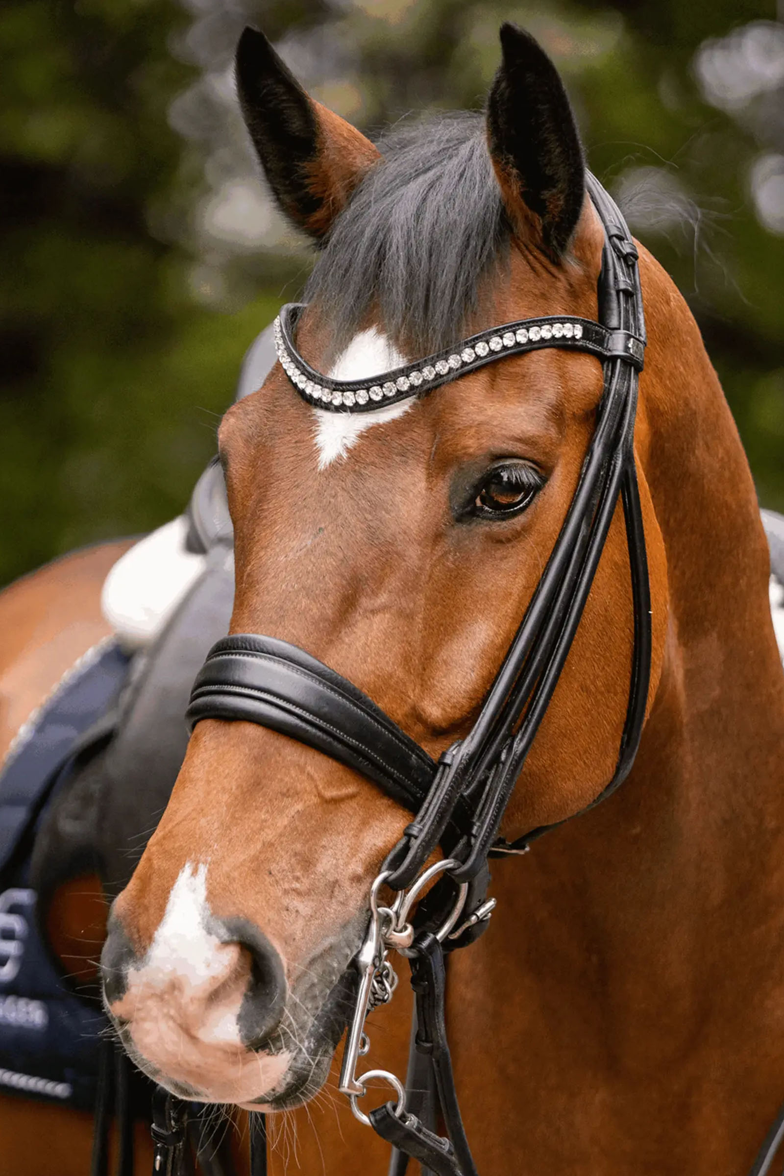 Sprenger Novocontact Weymouth 14mm Sensogan avec branches en inox de 7cm