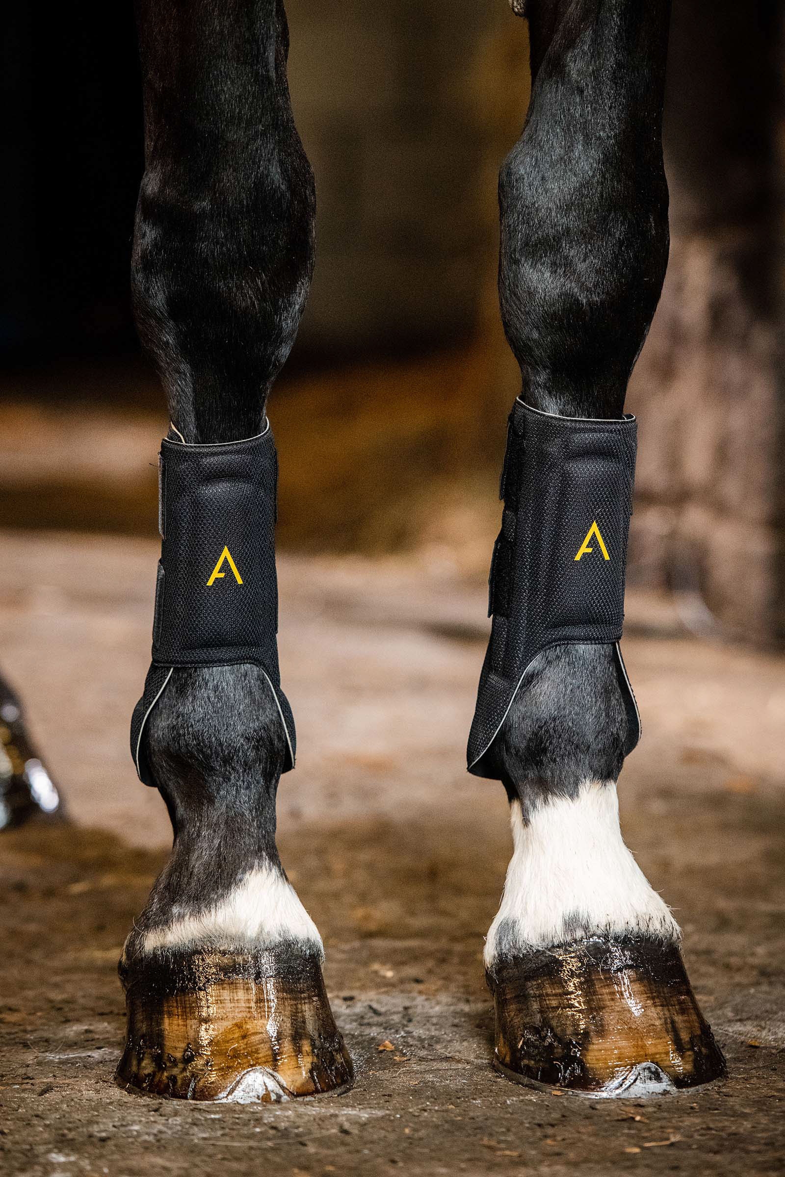 Black/Yellow Guêtres Horseware Adagio