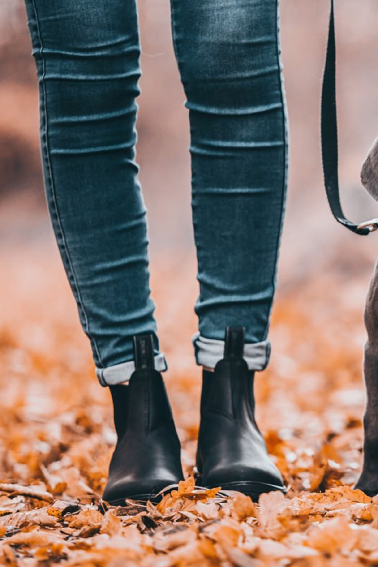 Suedwind Footwear 1888 Bottes Chelsea Jodhpur