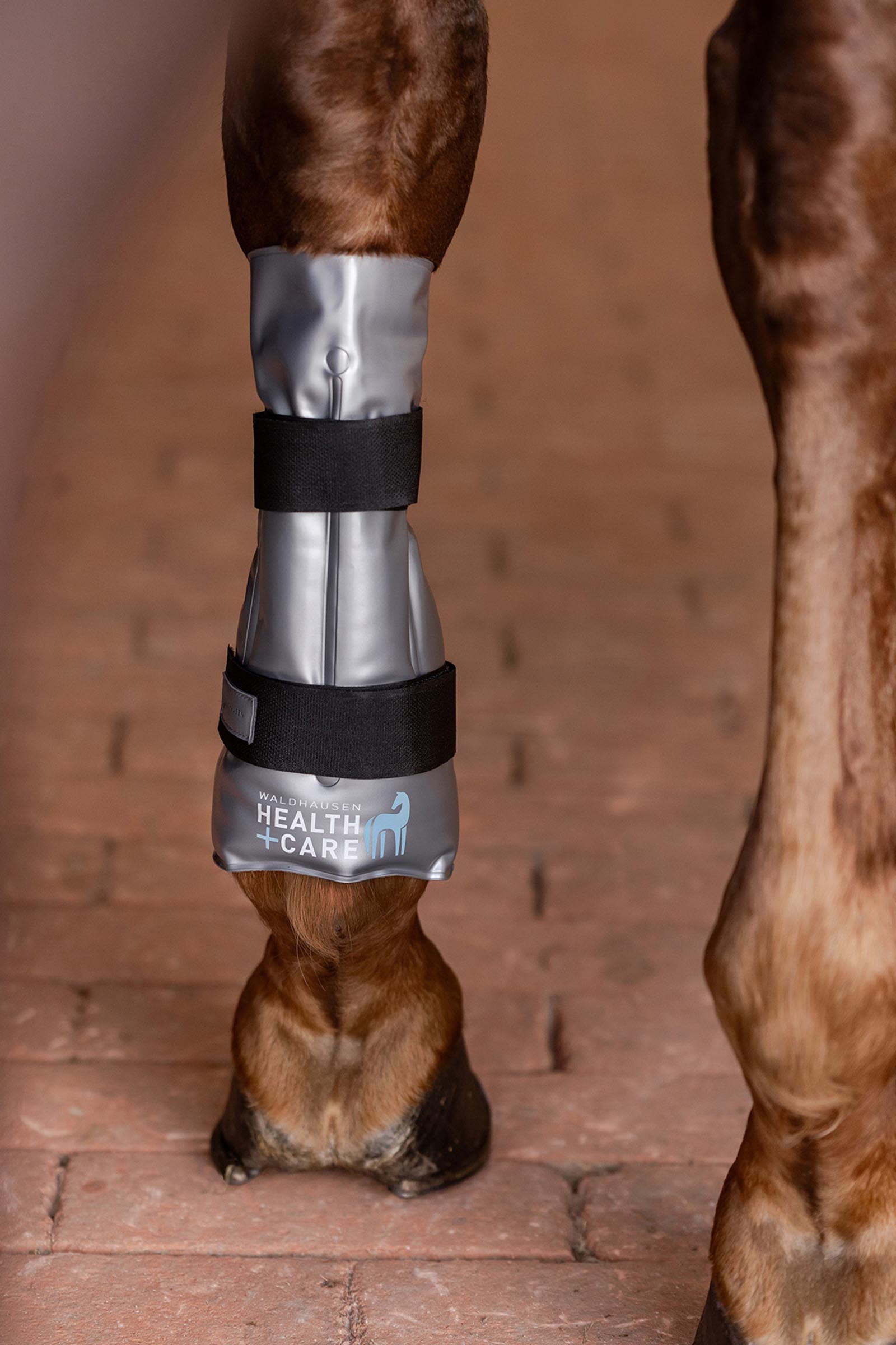 Waldhausen Botte de Tendon Refroidissante ou Chauffante Hot-Chilly Leg