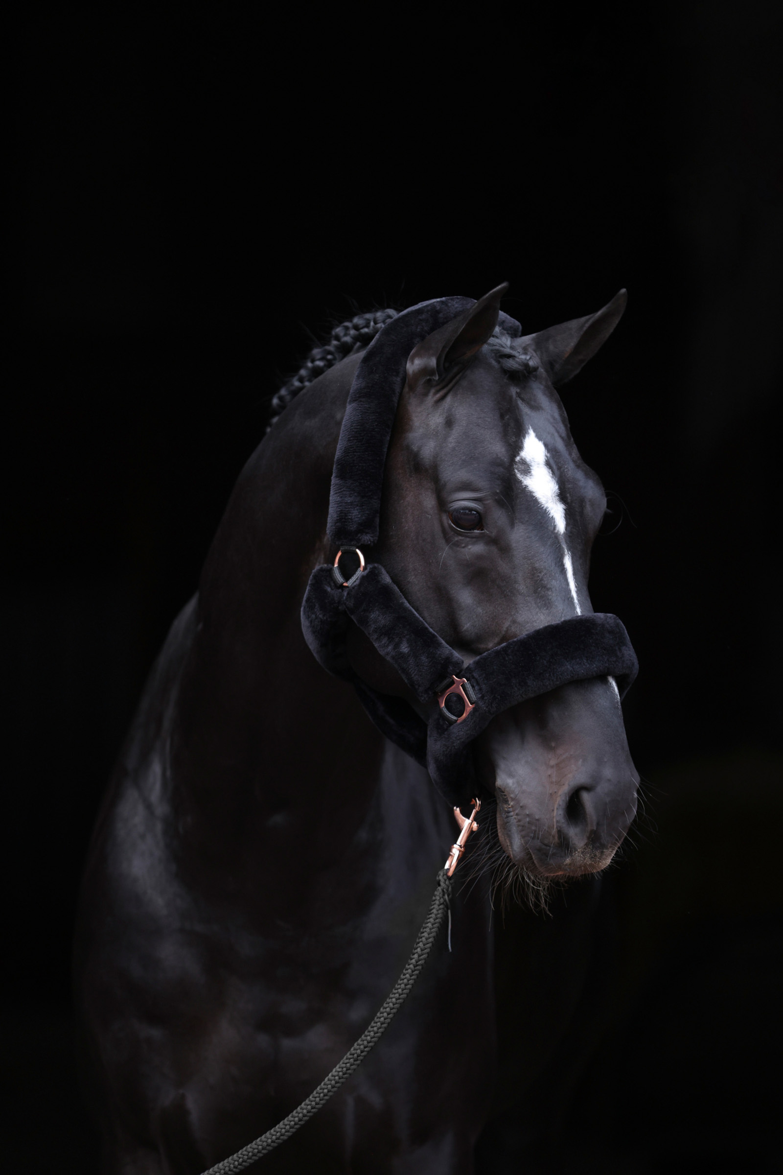 Licol Covalliero SuperDoux