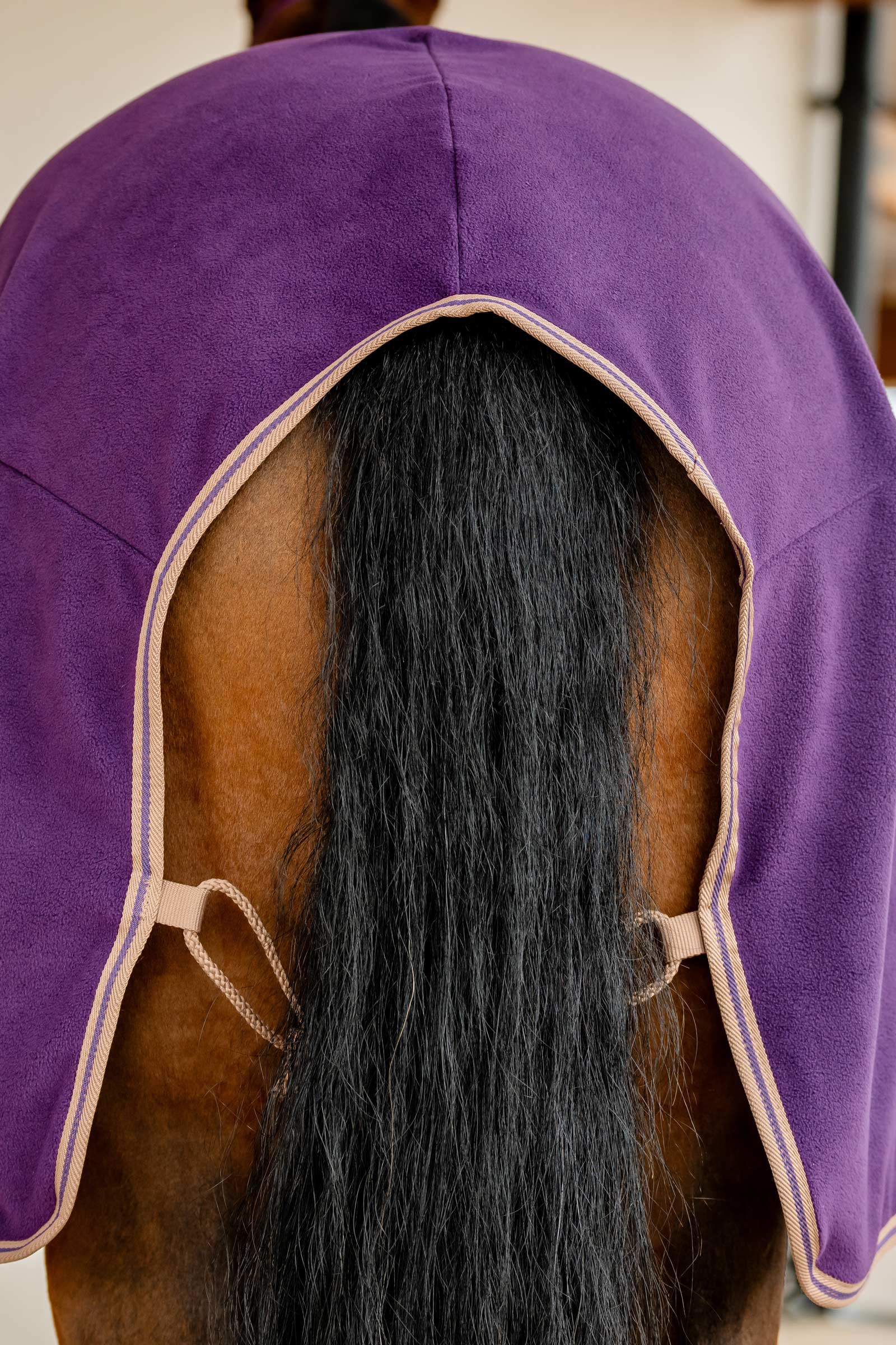 Horseware Amigo Cooler Polaire