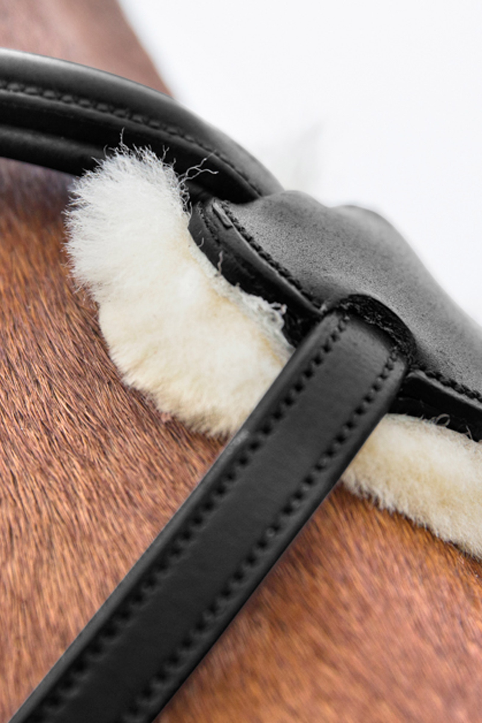 Filet à muserolle croisée Horze Prescott