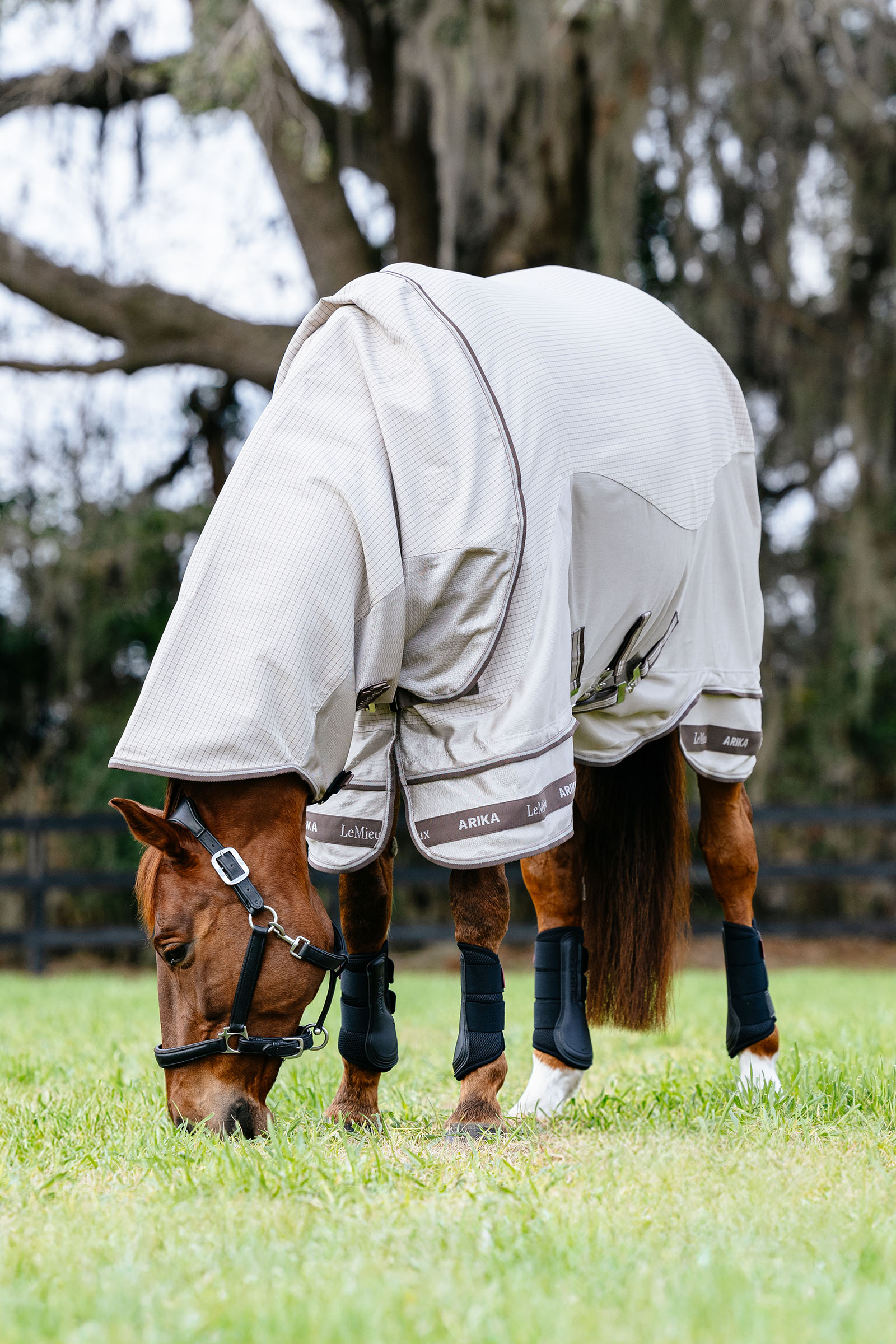 LeMieux Arika 450D Sunstopper couverture d'extérieur avec encolure amovible, 0 g