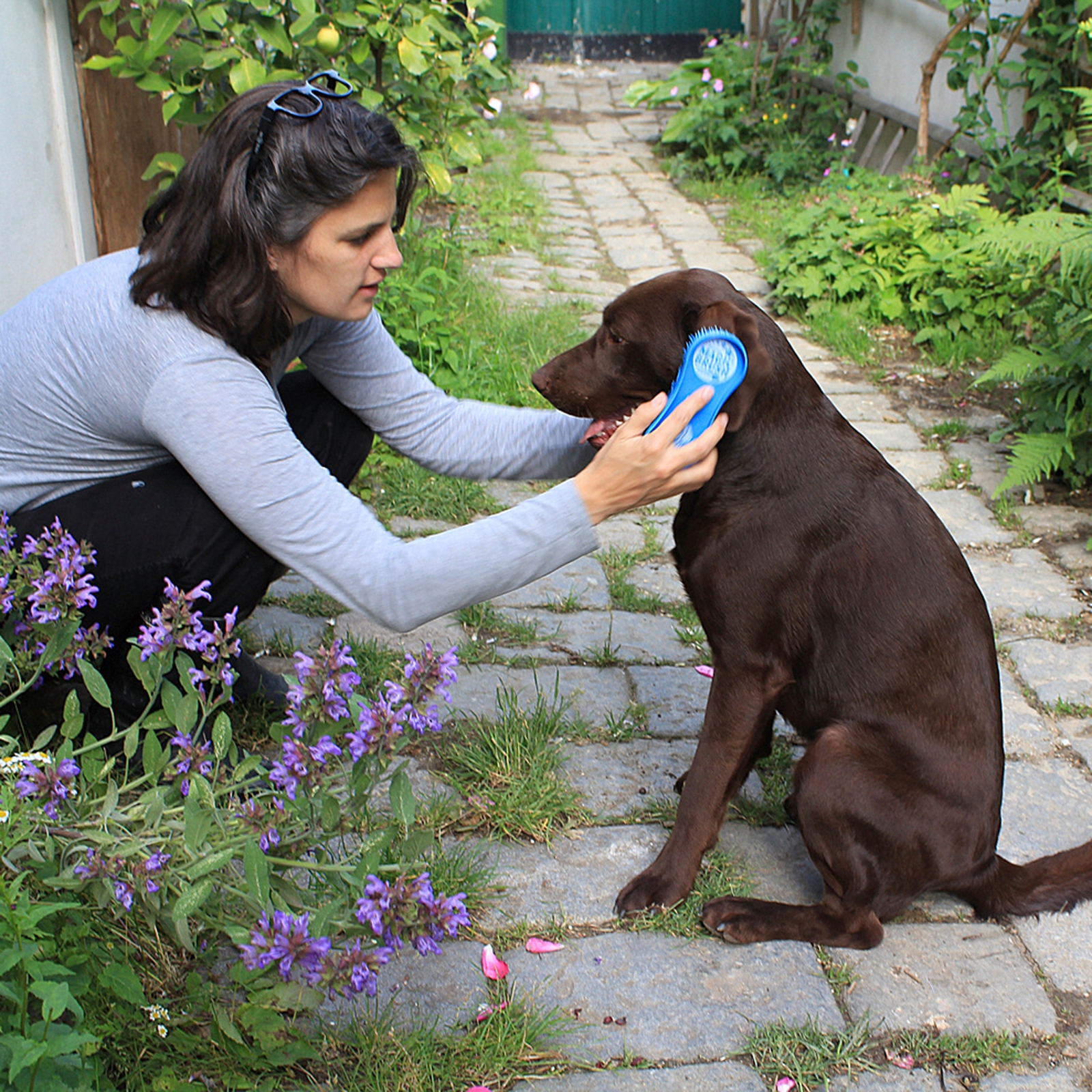 Kerbl MagicBrush Dog Blue Sky