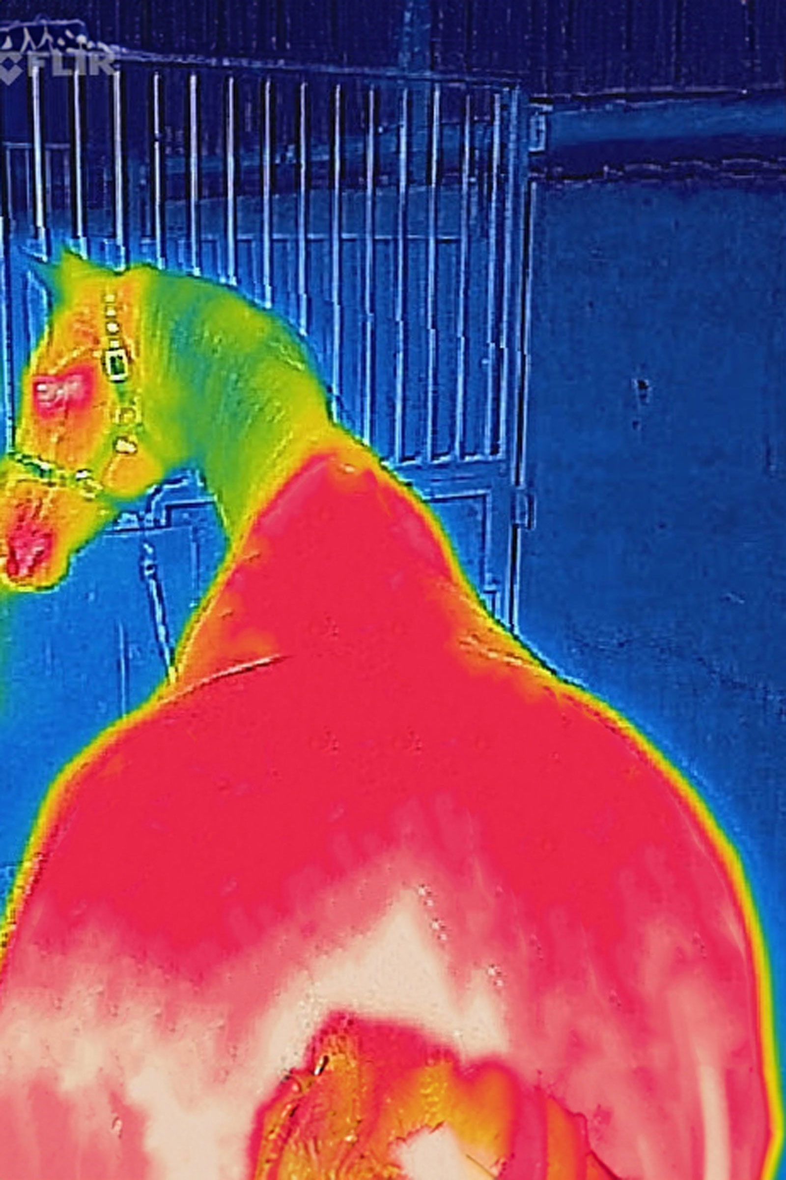 Bucas Therapy couverture d'extérieur légère, 50g