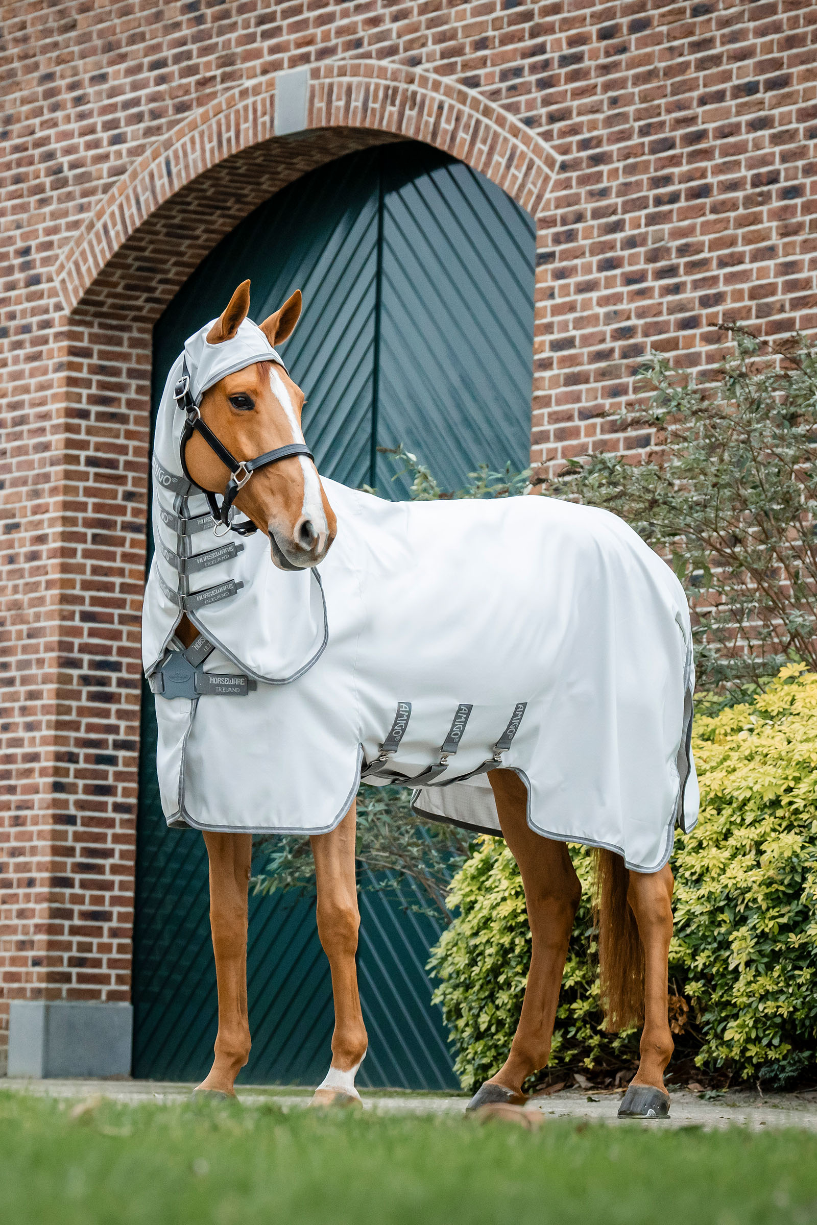 Horseware Amigo Ripstop Couverture anti-mouches
