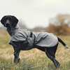 Manteau pour chien Back on Track Bark All-Round, 25-35 cm