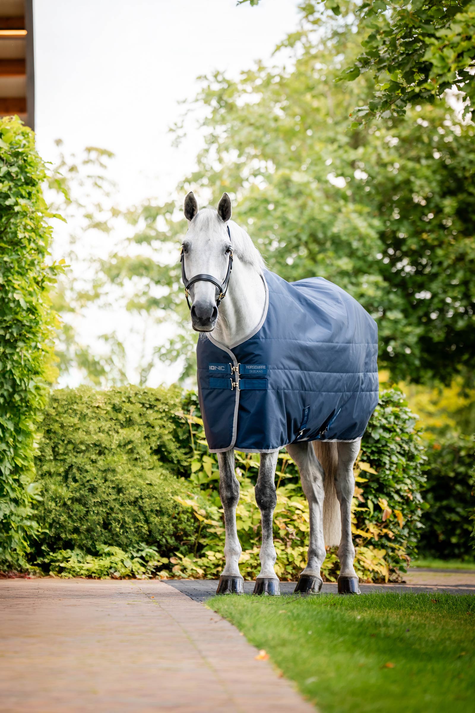 Horseware Ionic Therapy Couverture &eacute;curie, 50g