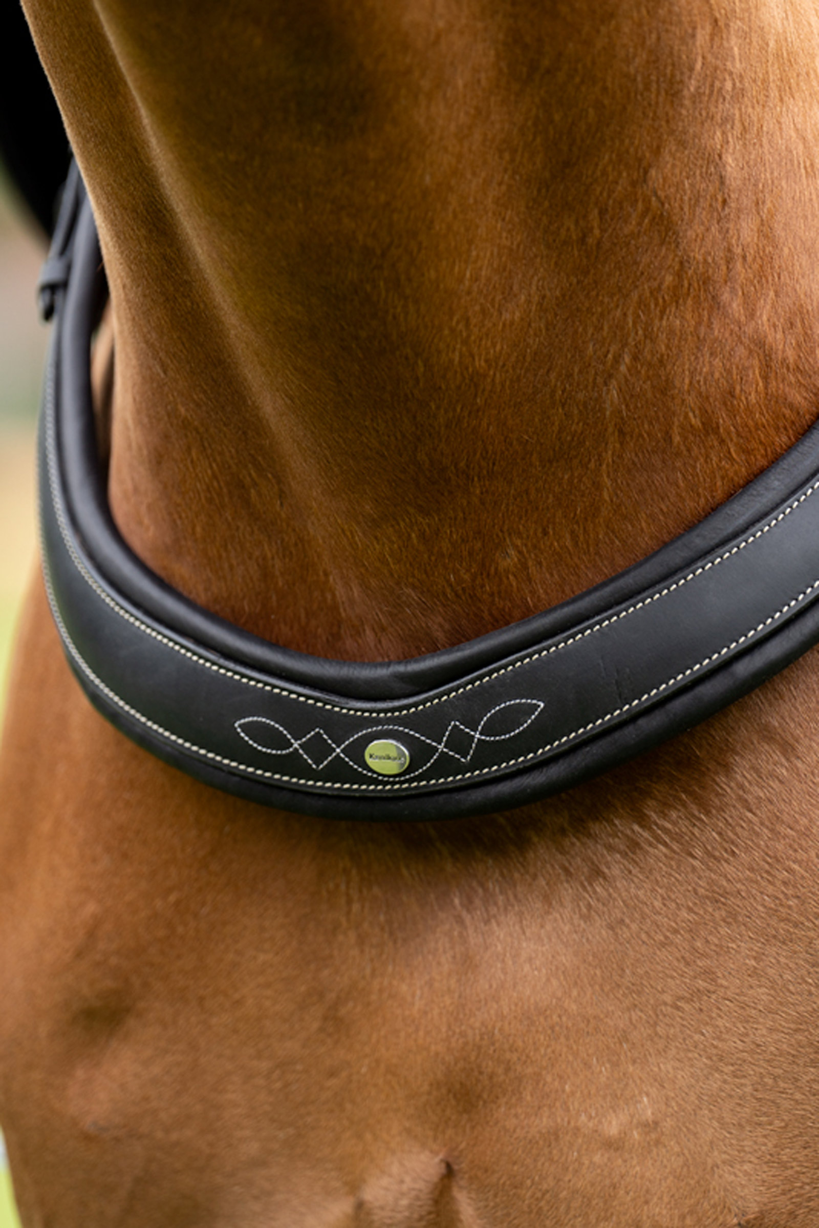 Kavalkade Jerome Pommeau 2 Points