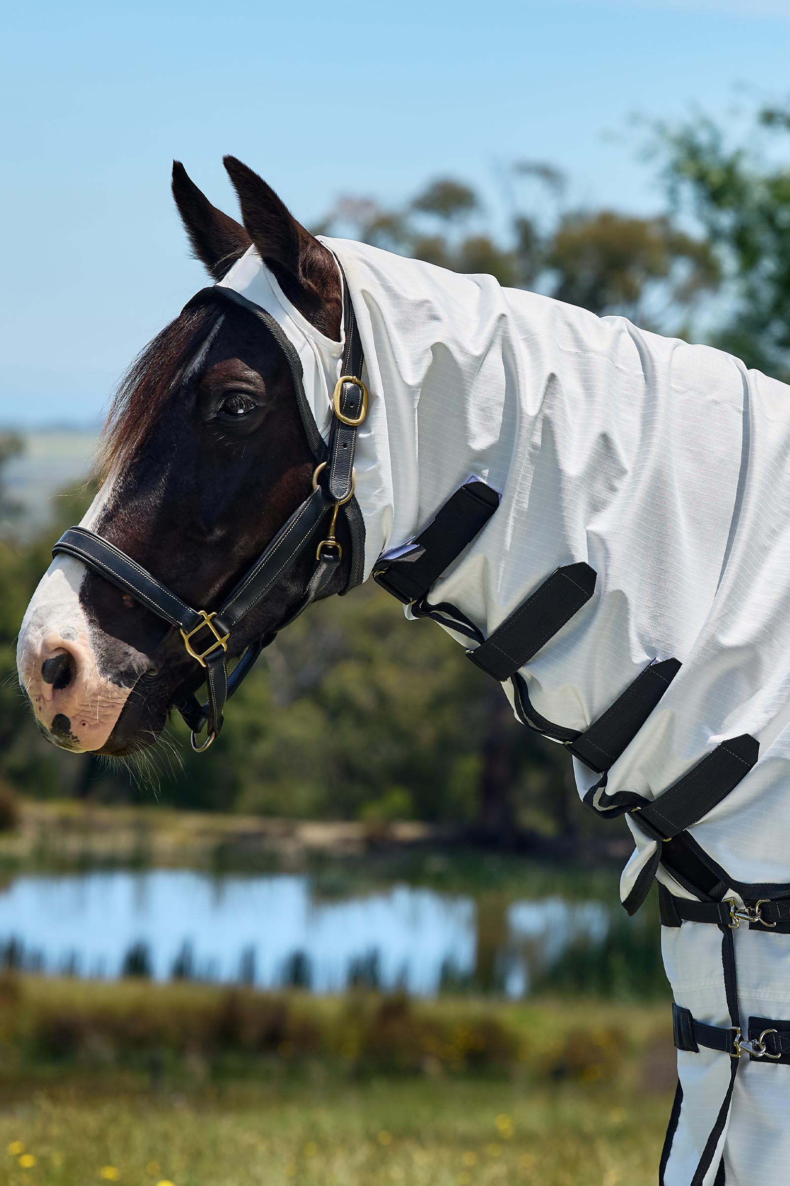 Weatherbeeta ComFiTec Sweet Itch Shield Couverture anti-mouches combo avec encolure fixe, 0 g  