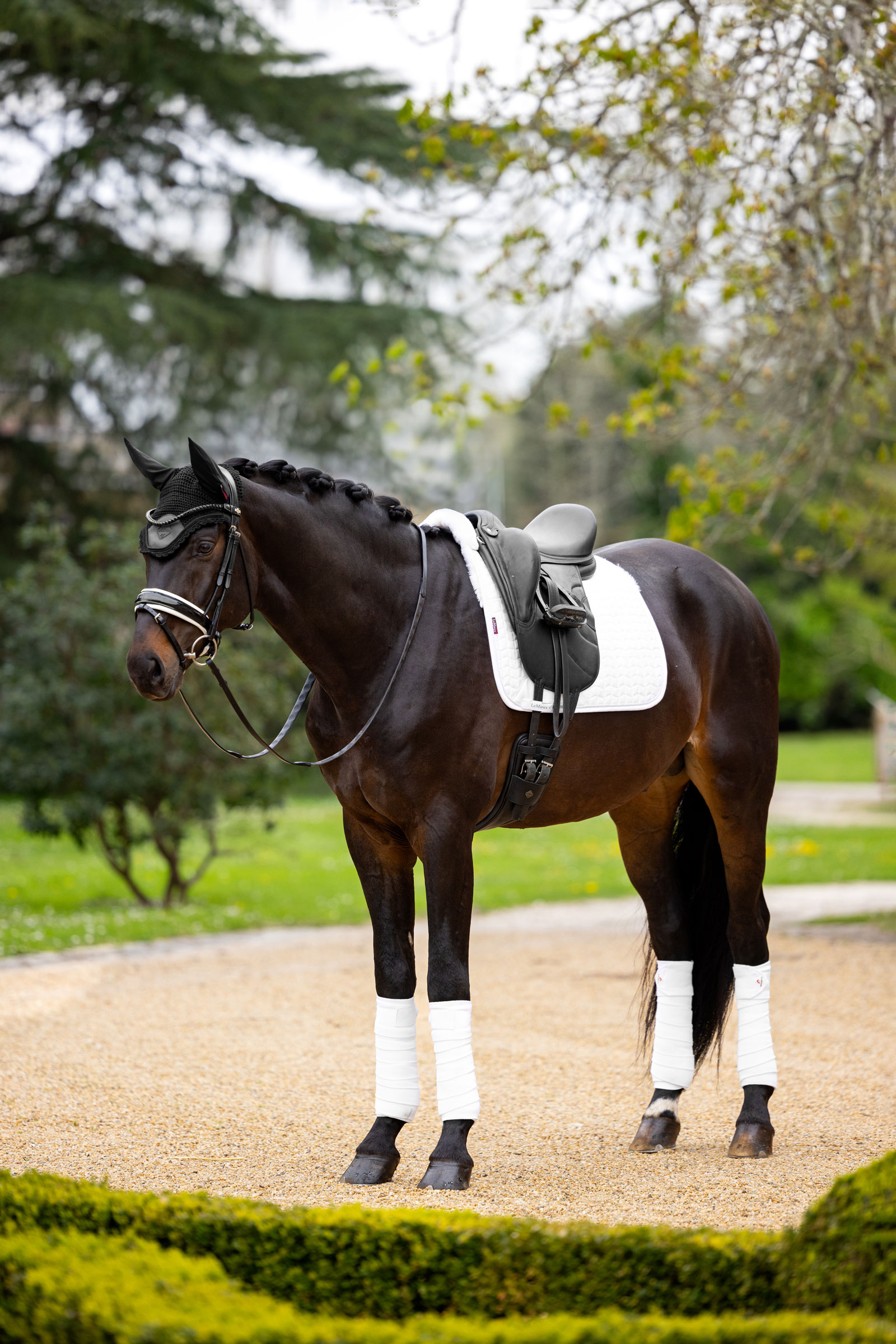 LeMieux Merino+ Tapis Dressage effet su&eacute;dine, demi-doubl&eacute;