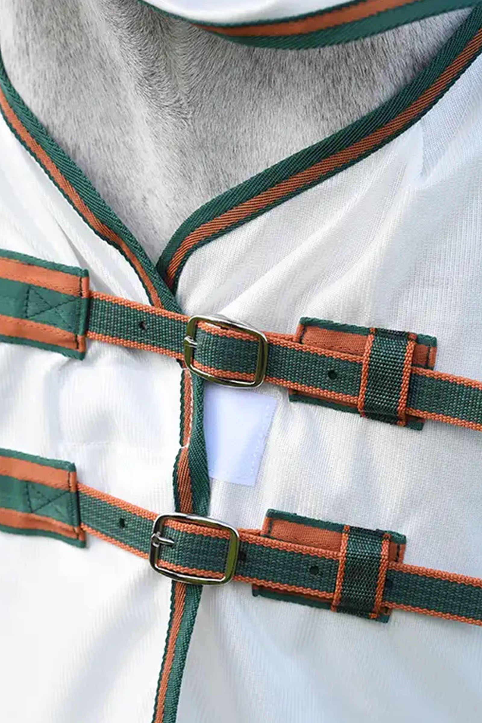 Weatherbeeta Comfitec Tyro couverture en mesh avec encolure intégrée