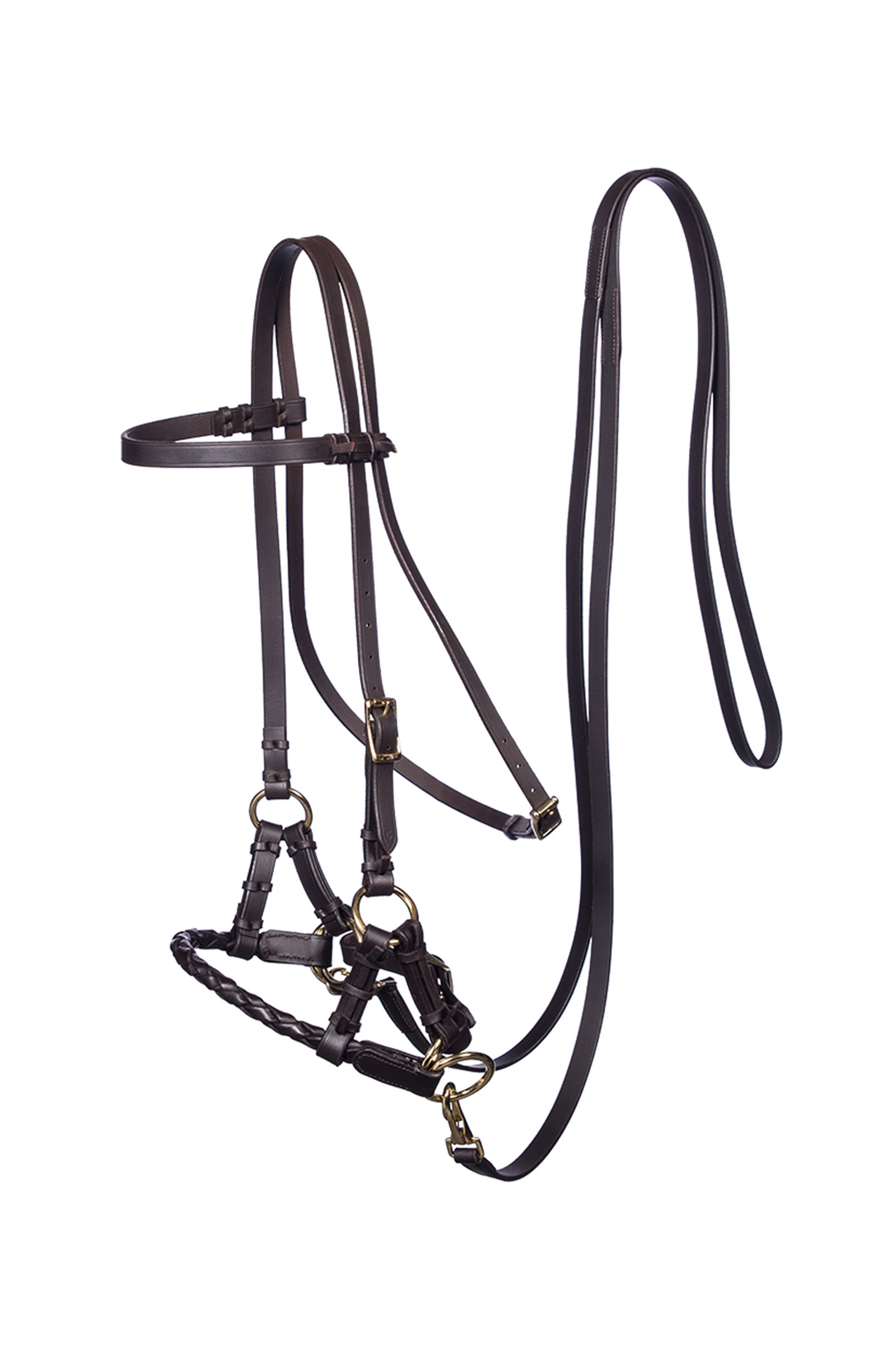 Brown/Brass F.R.A. Freedom Riding Articles Pariba Sidepull (System 3) Woven Noseband, w/reins