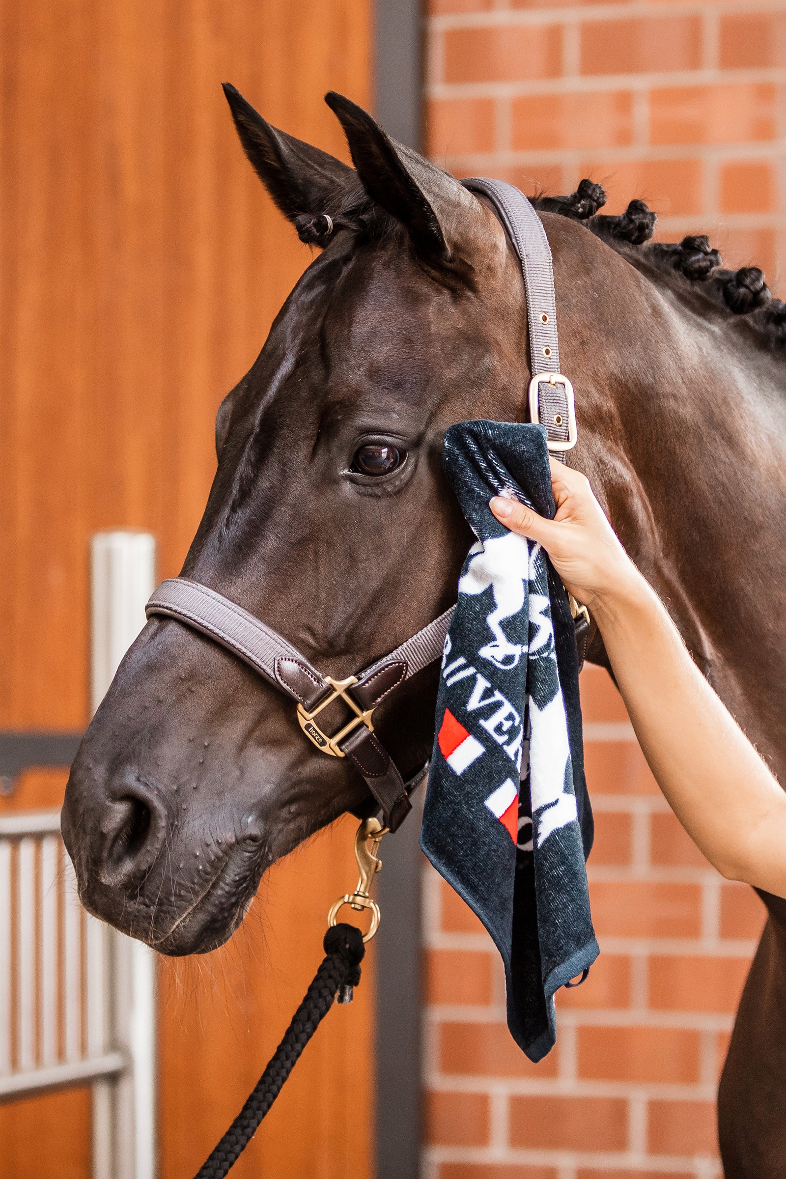 Essuie-mains B Vertigo