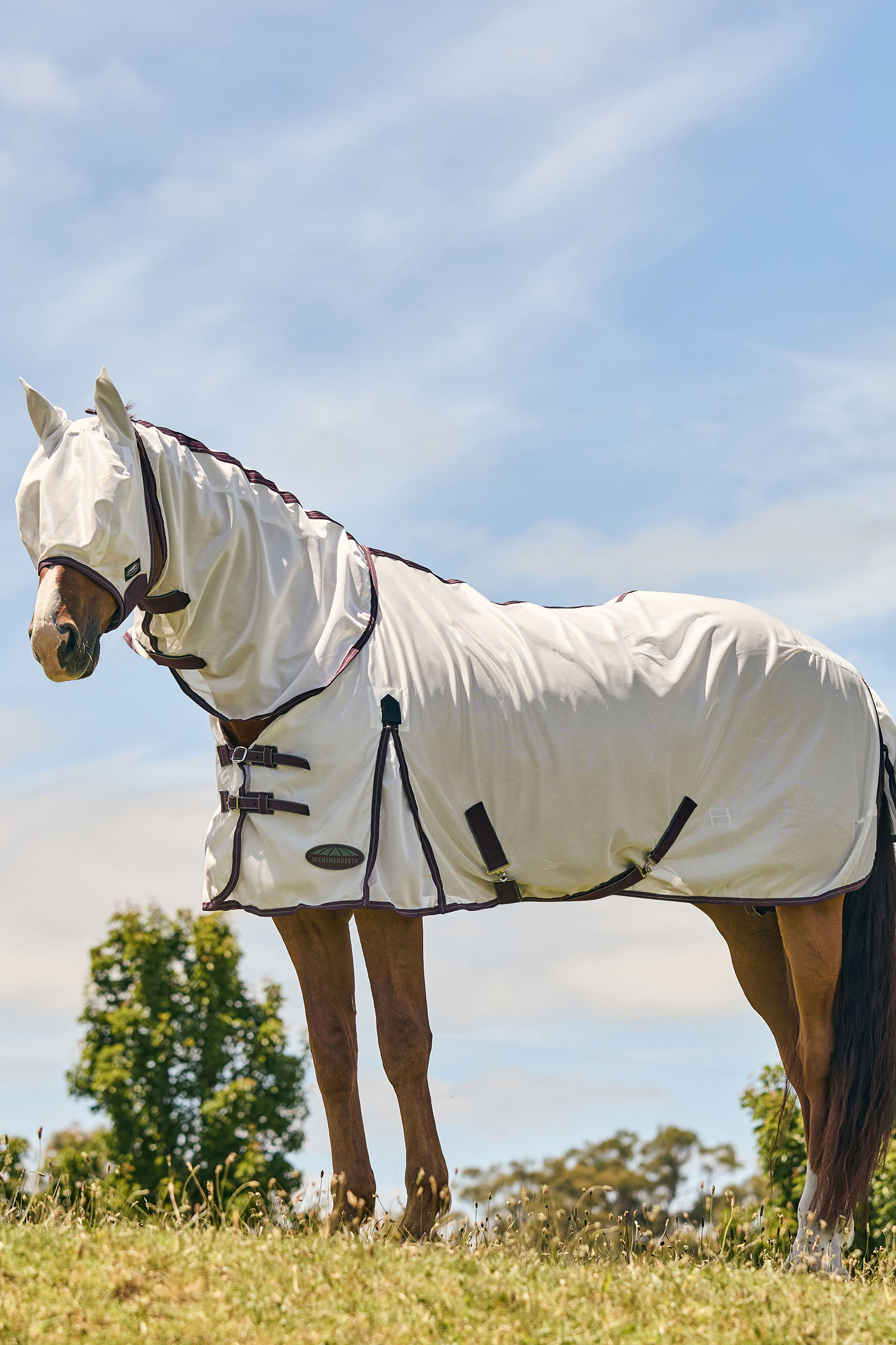 Weatherbeeta Comfitec Essential masque en mesh